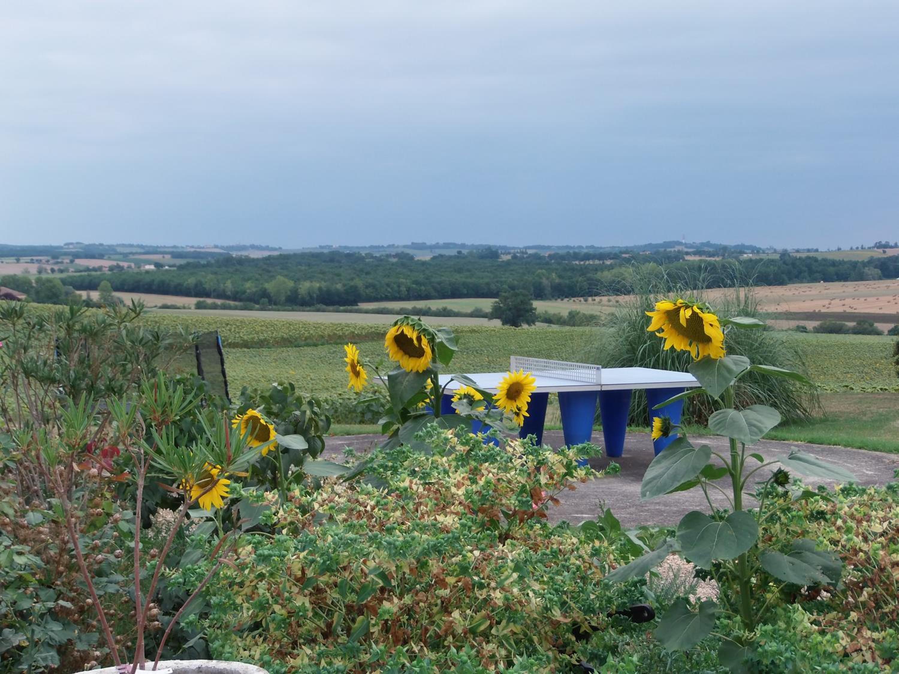 Domaine des Cadets de Gascogne