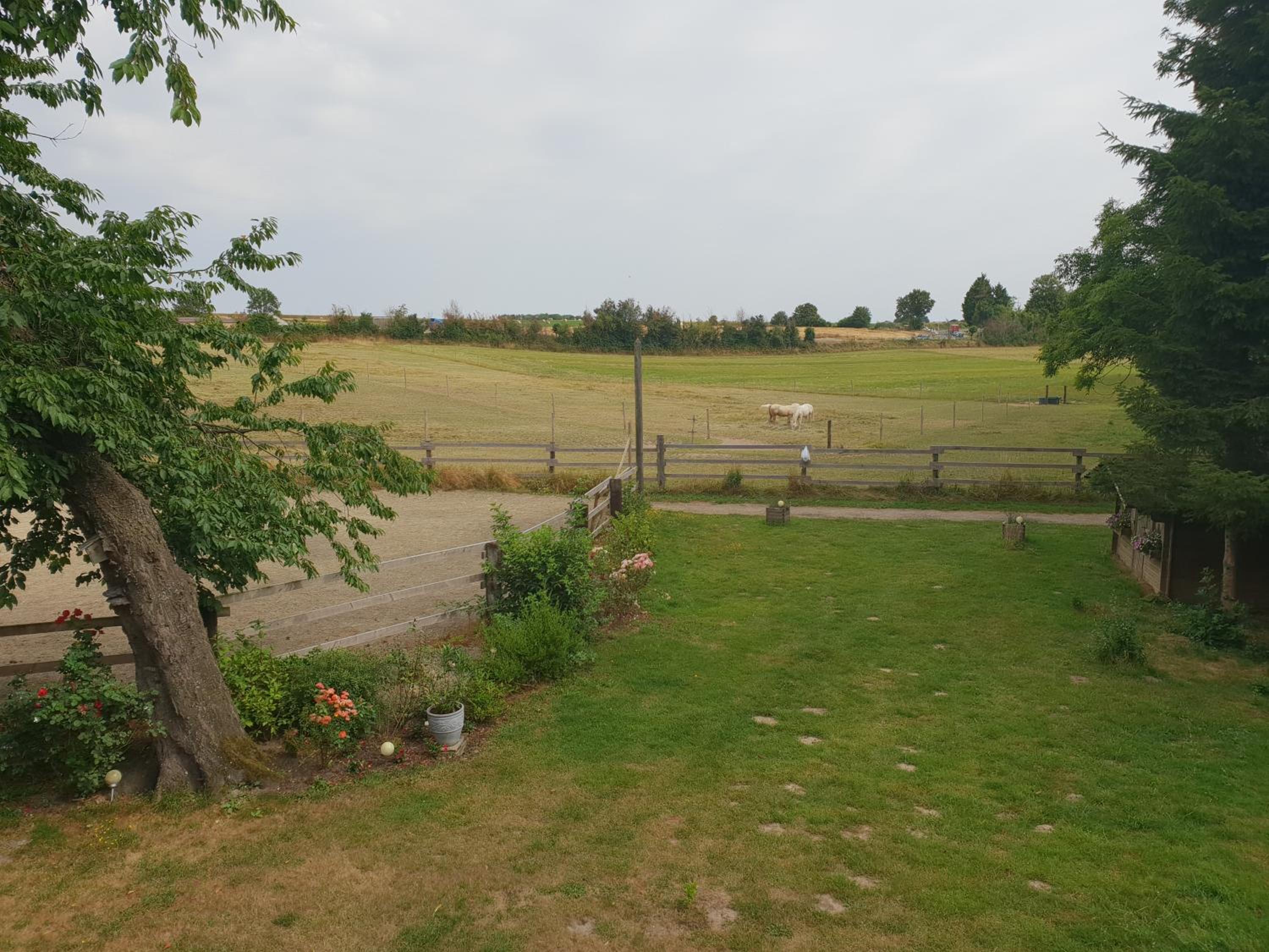 La Tilia - Property Image 3