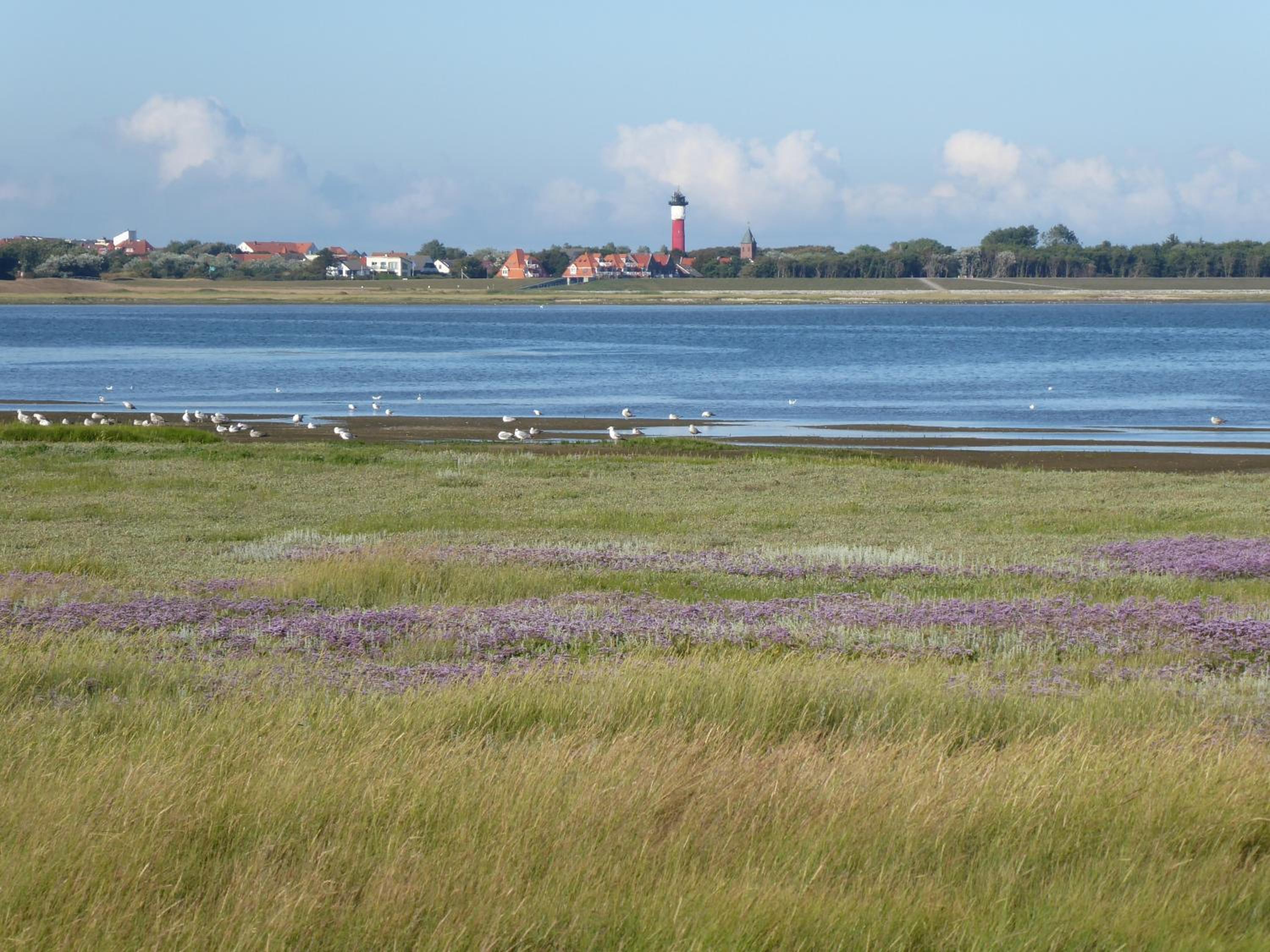 Leuchtturmblick view 2
