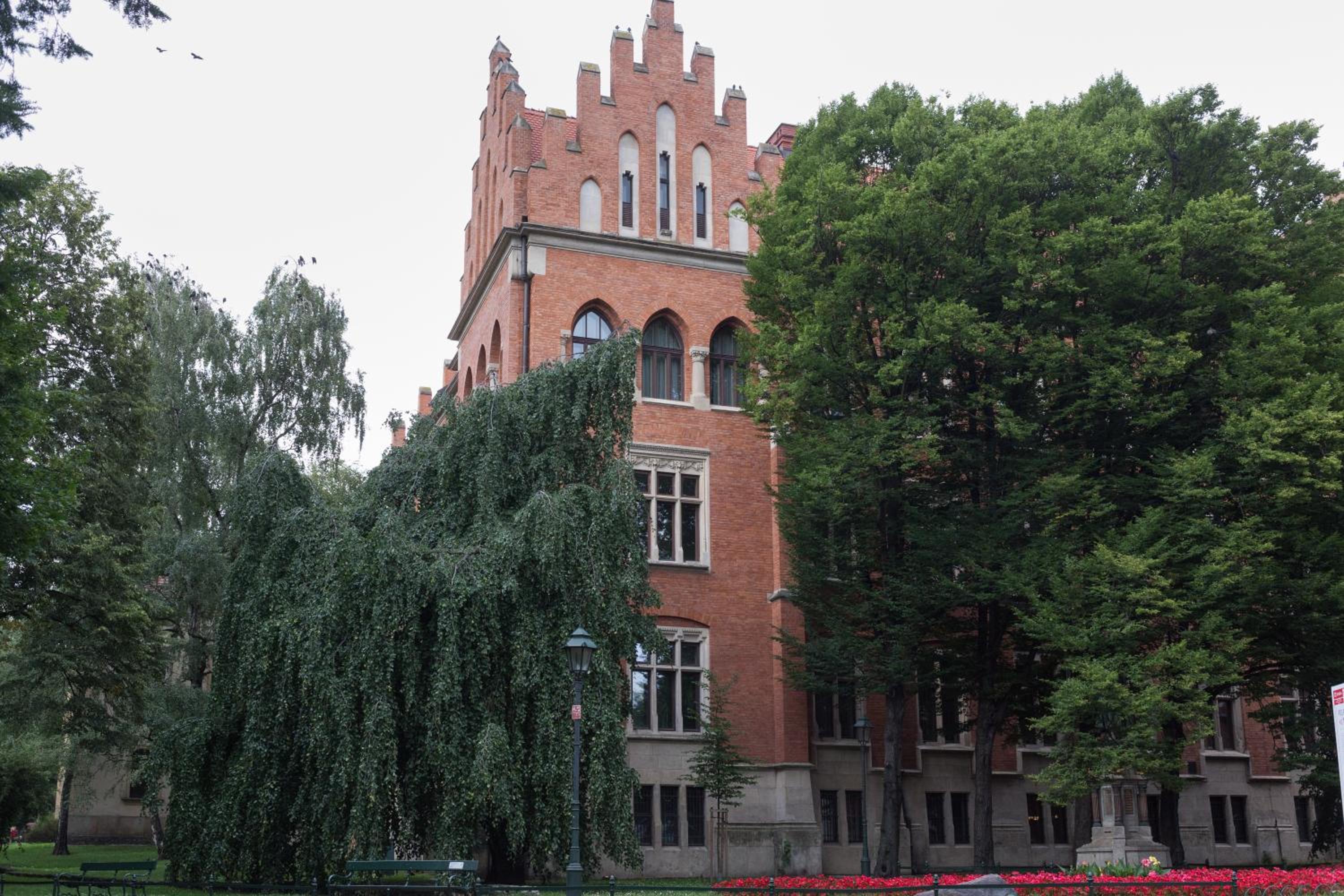 Photo 17