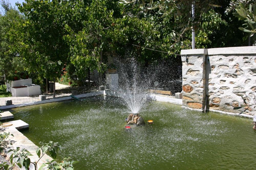 Photo 45
