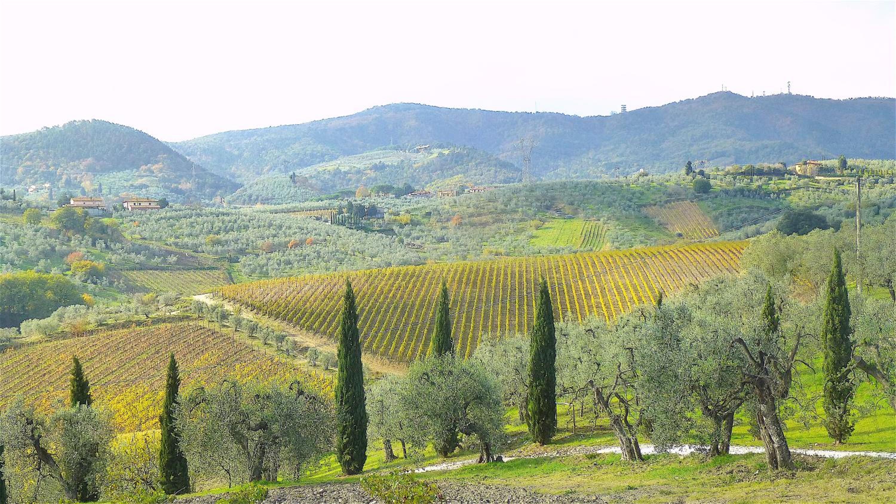 La Solaria