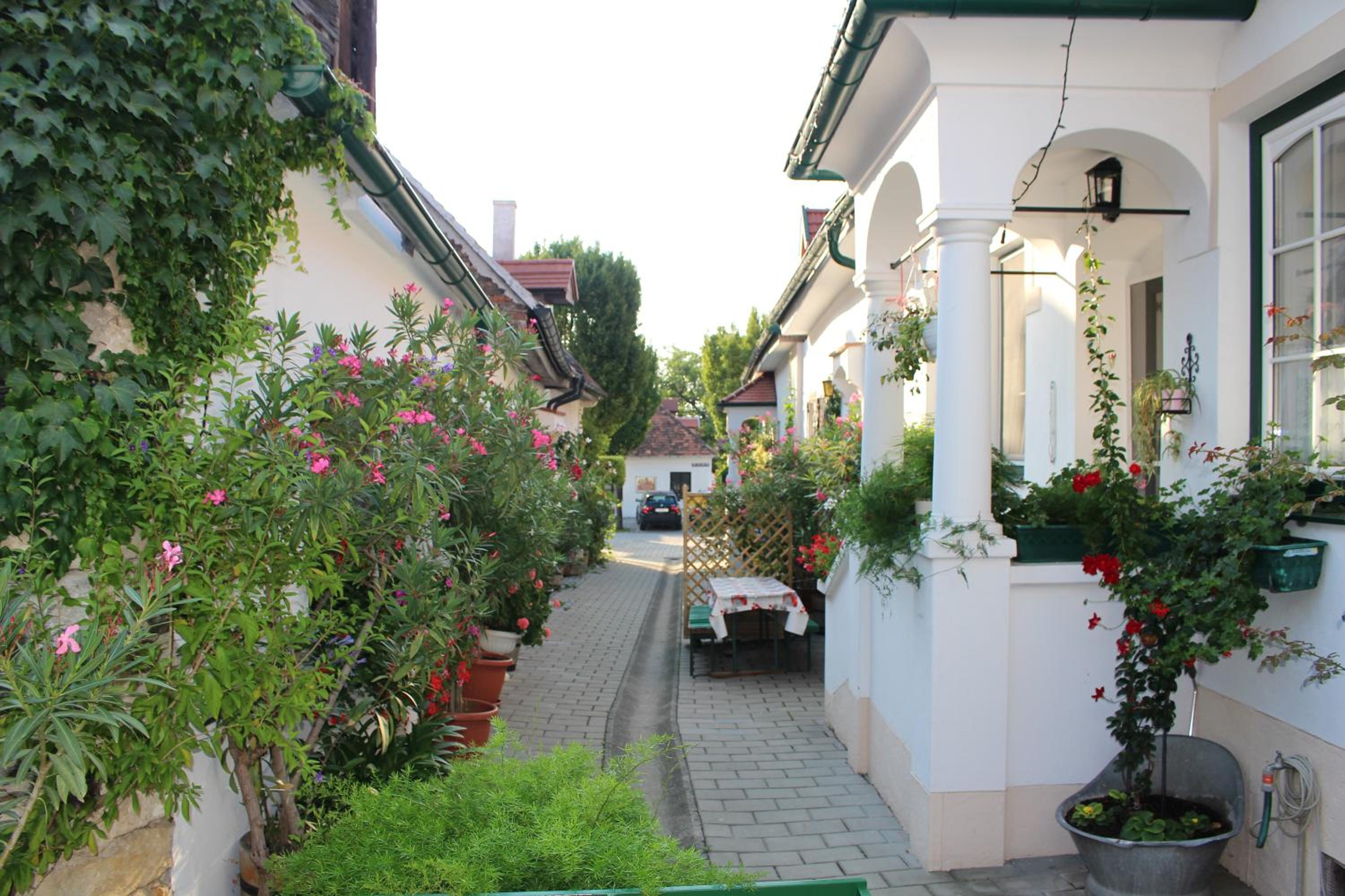 Appartement "Blumengassl" view 4