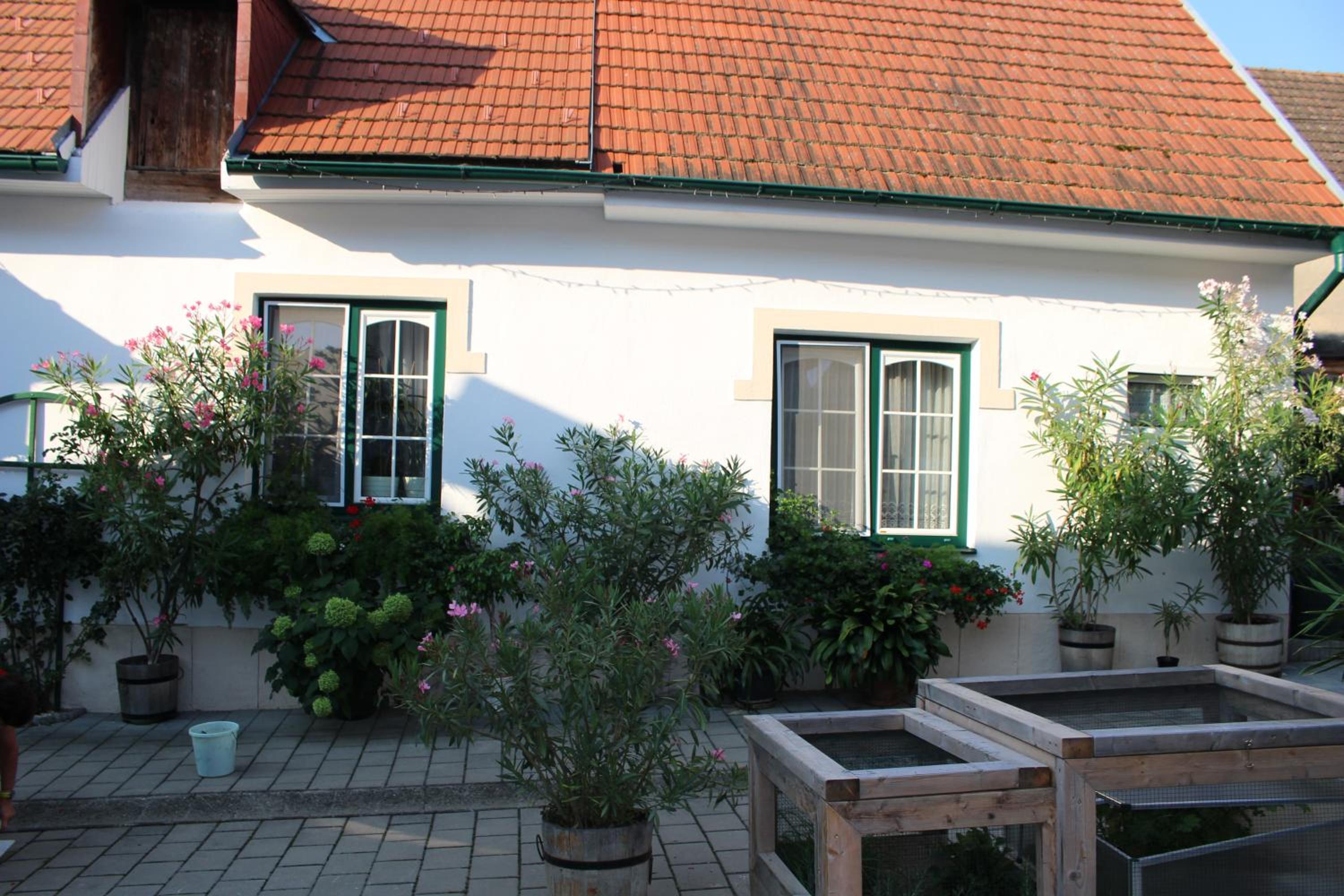 Appartement "Blumengassl" view 5