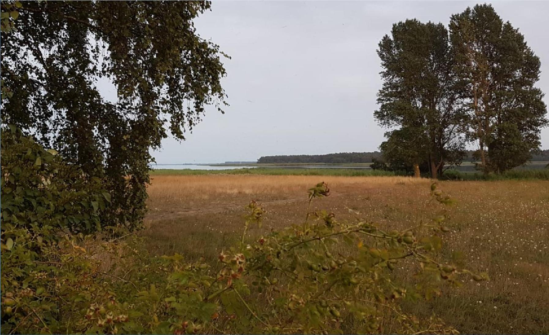 Boddenperle view 2