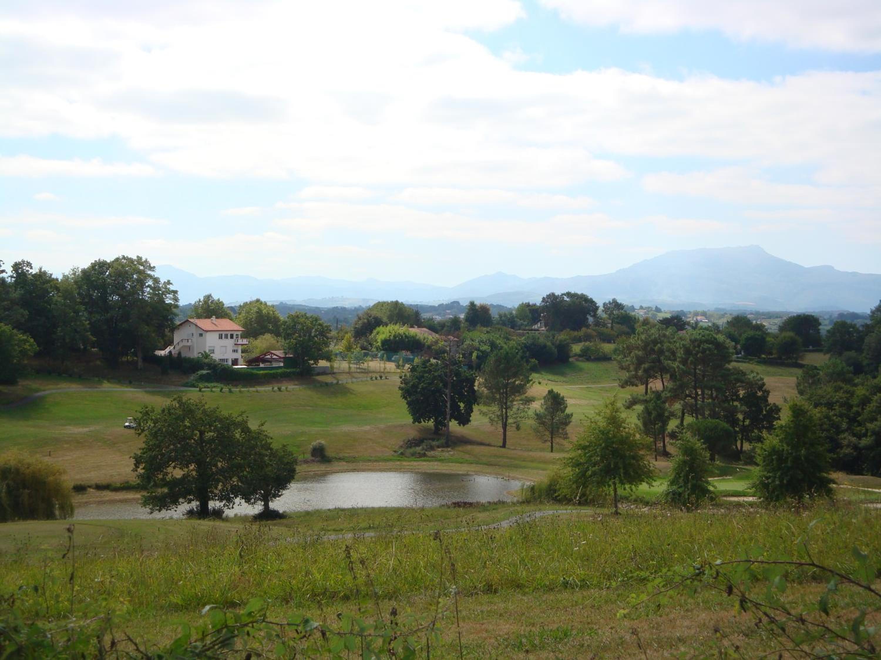 Photo 41