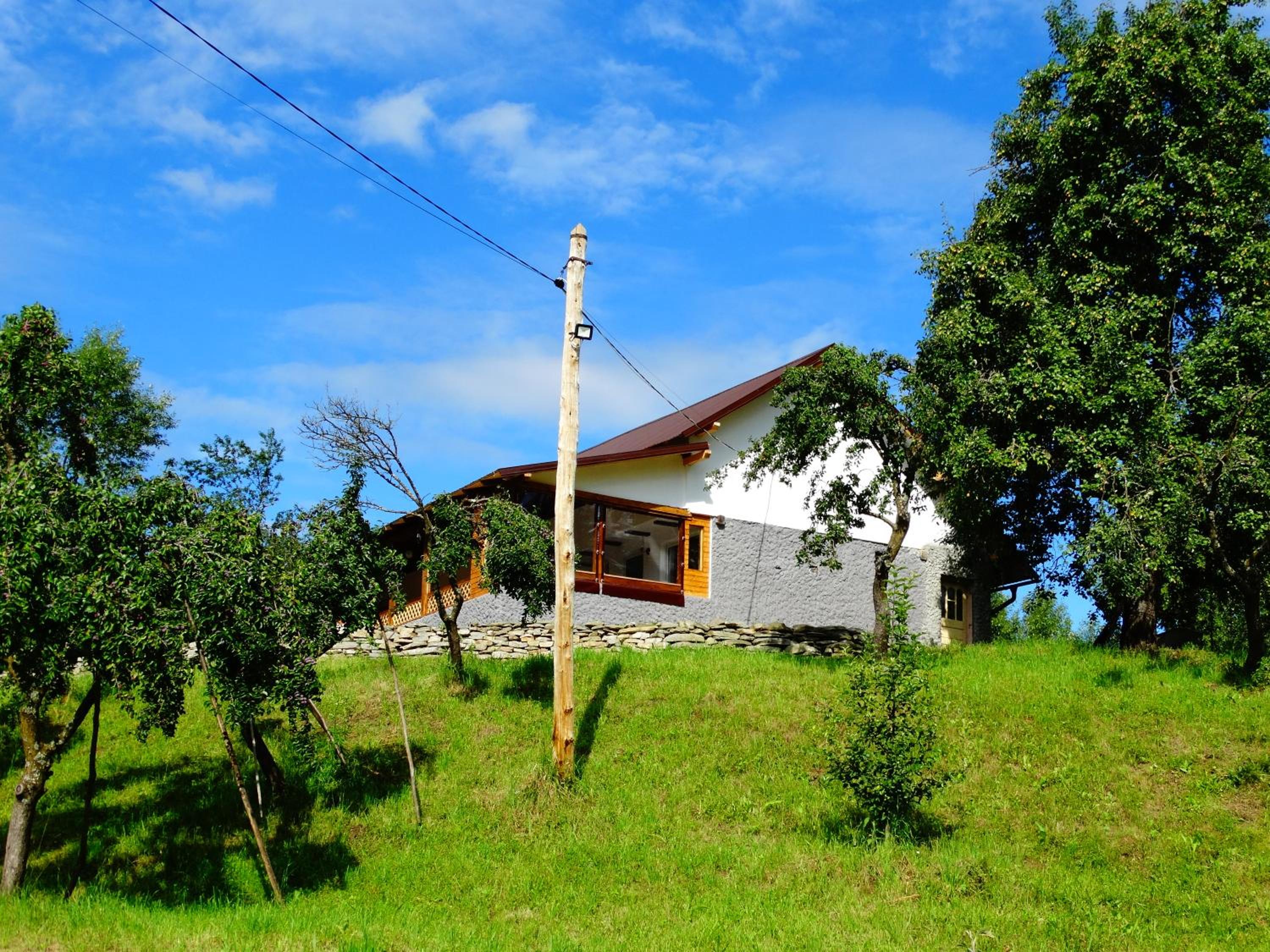 Photo 20