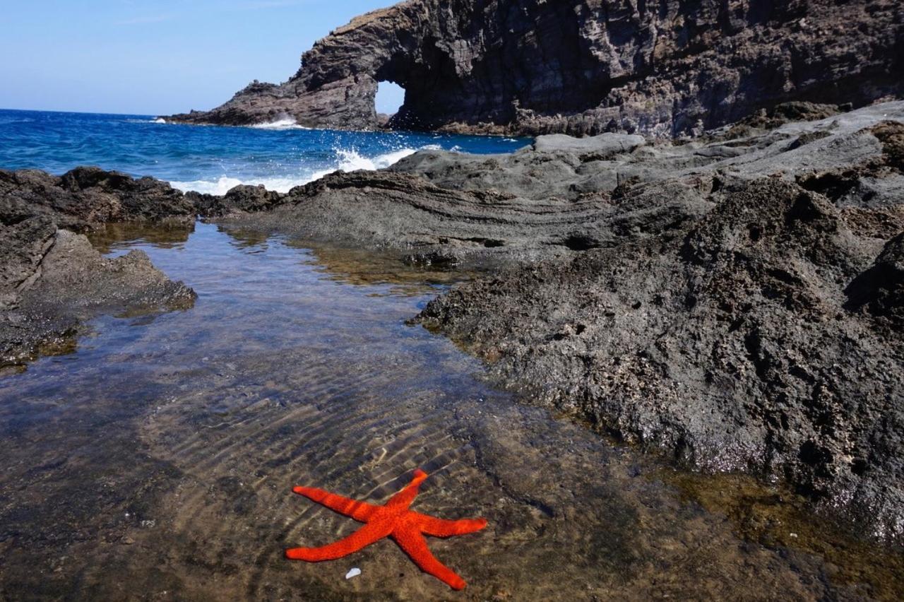 La Palma en Pantelleria