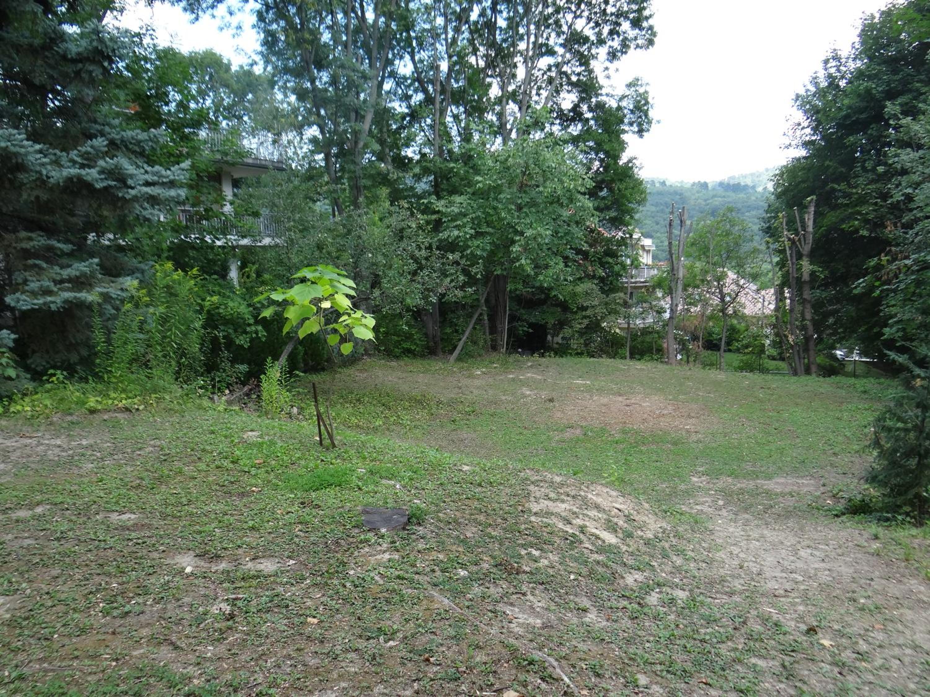Photo 34