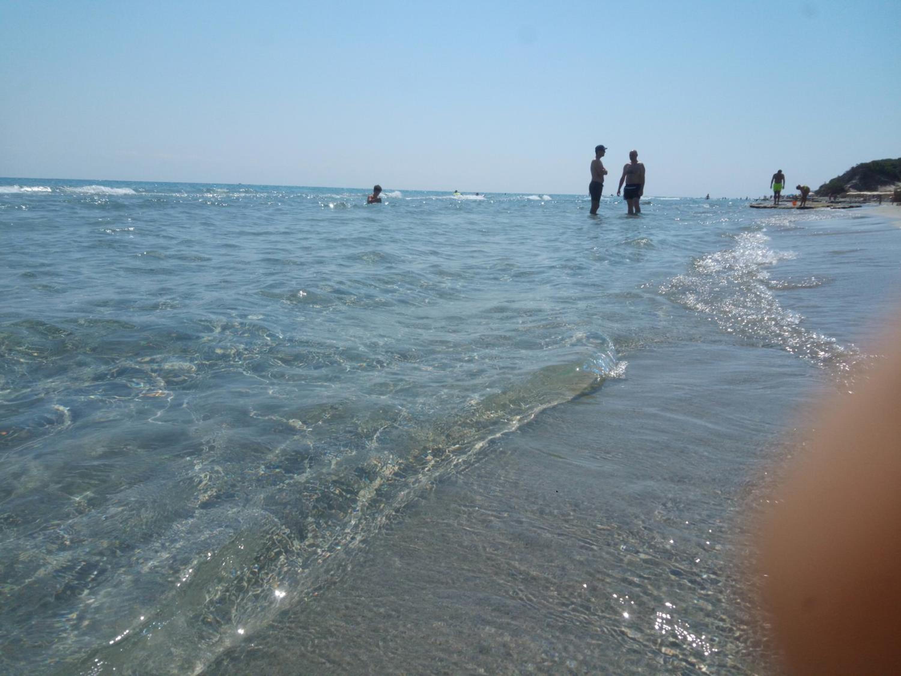 Photo 45