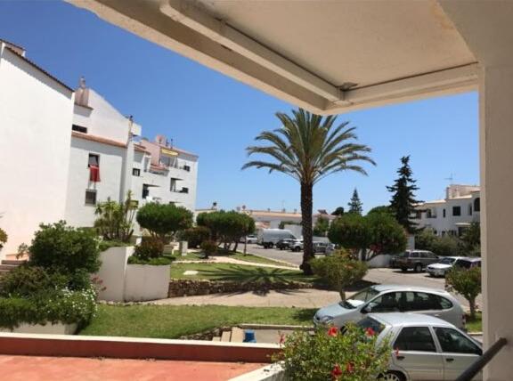 Dalia's House view 4