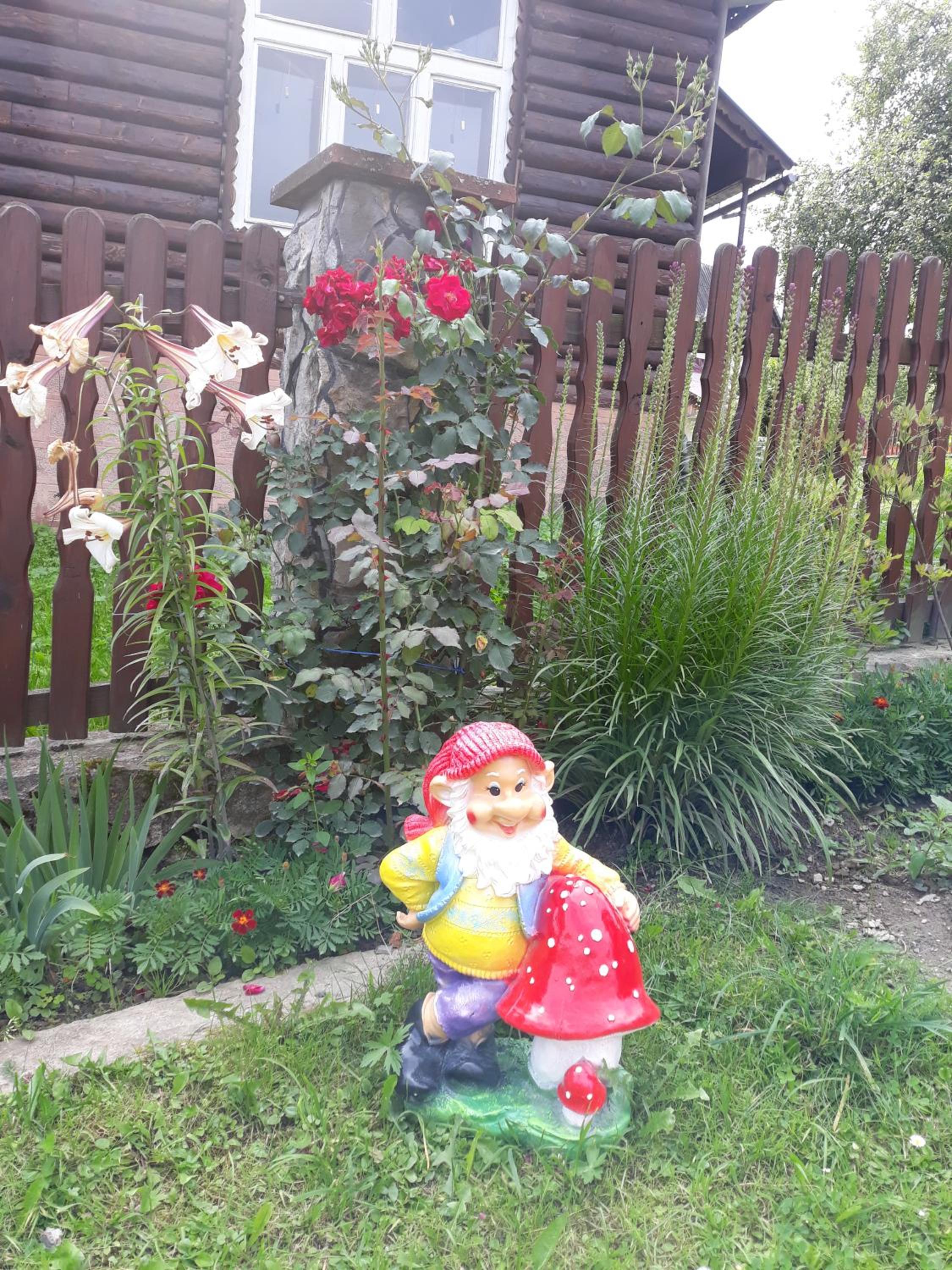 Photo 15