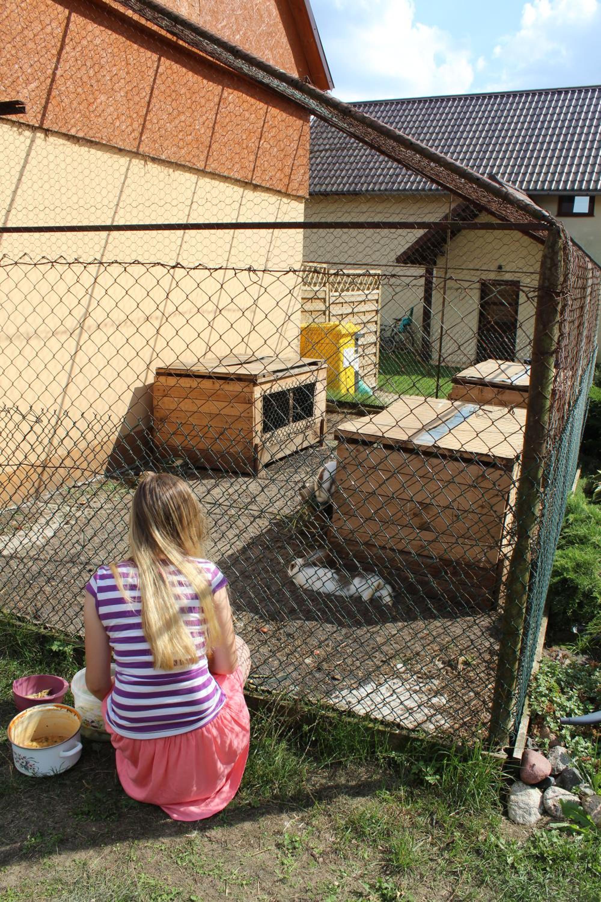 Photo 44