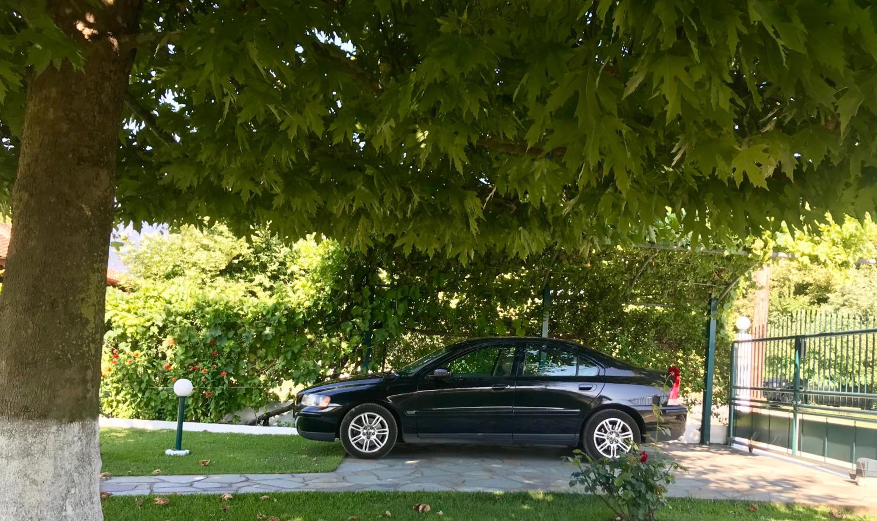 Photo 29