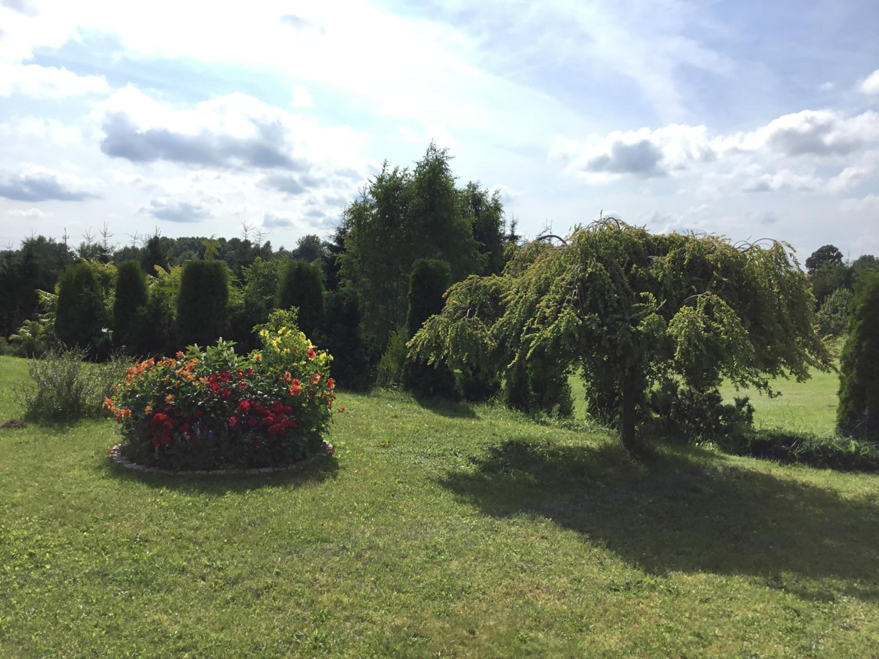 Agroturystyka 'Milena' view 4