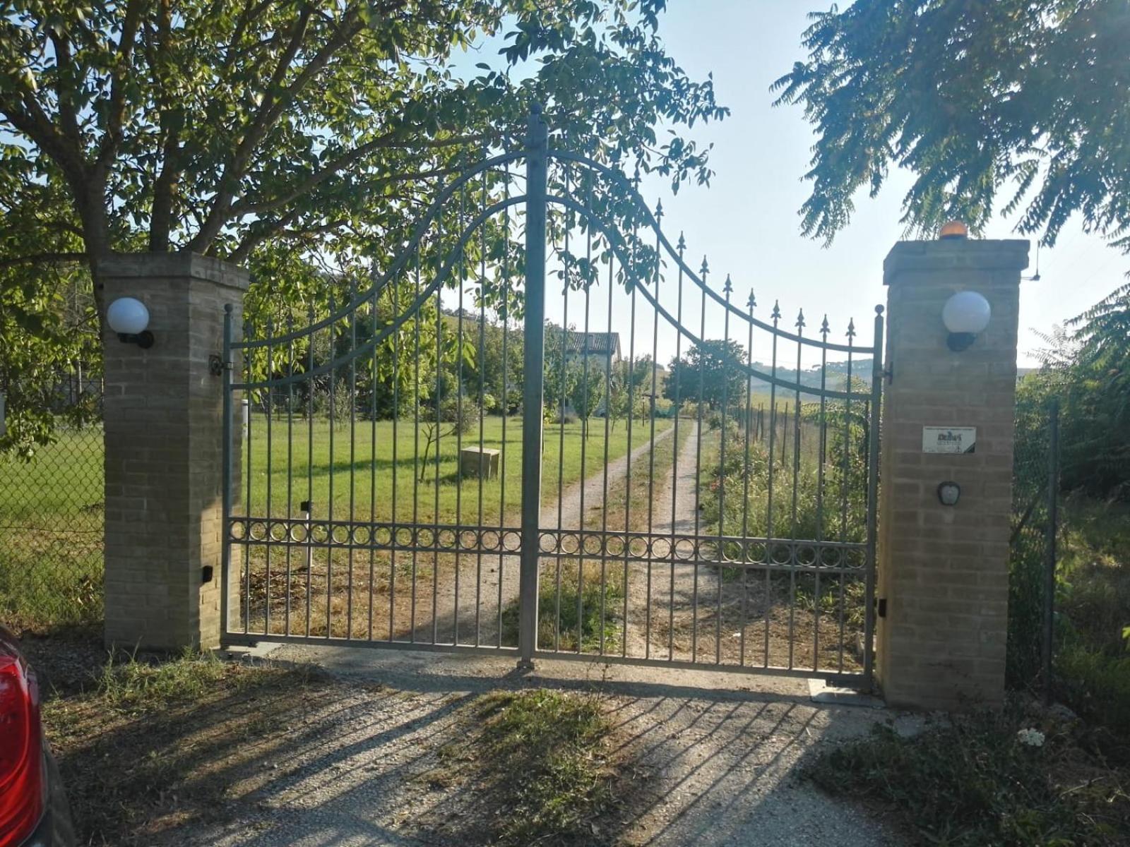 Photo 12