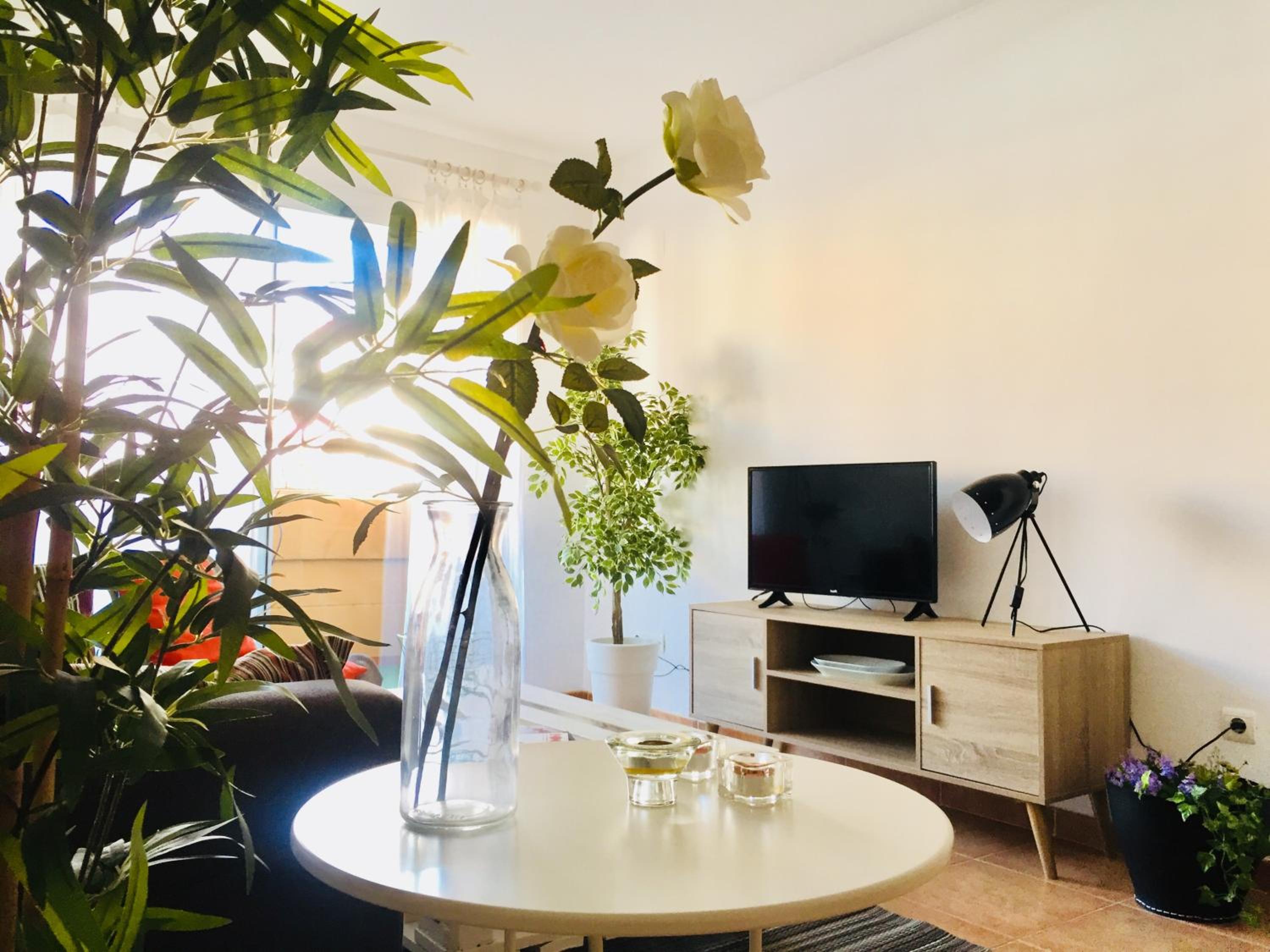 Apartamento EvaHome Roquetas view 4