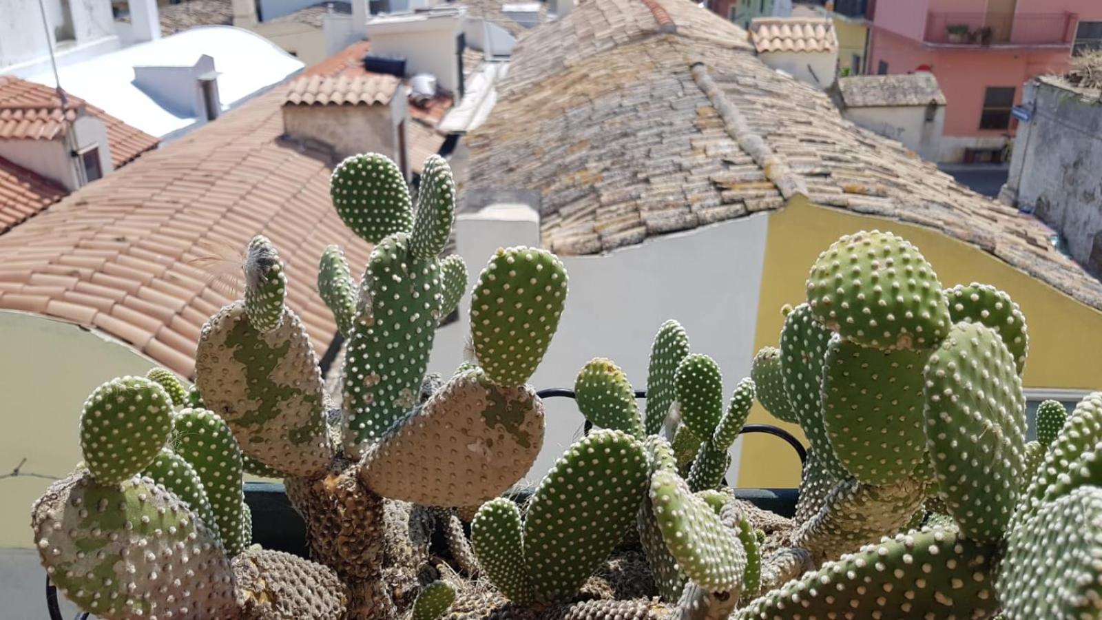 Ninetta's apartment - Bernalda (Matera) photo 2