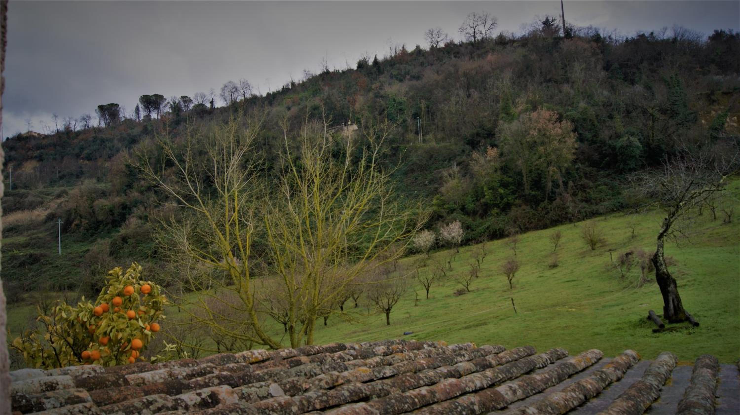 Agriturismo Monterone