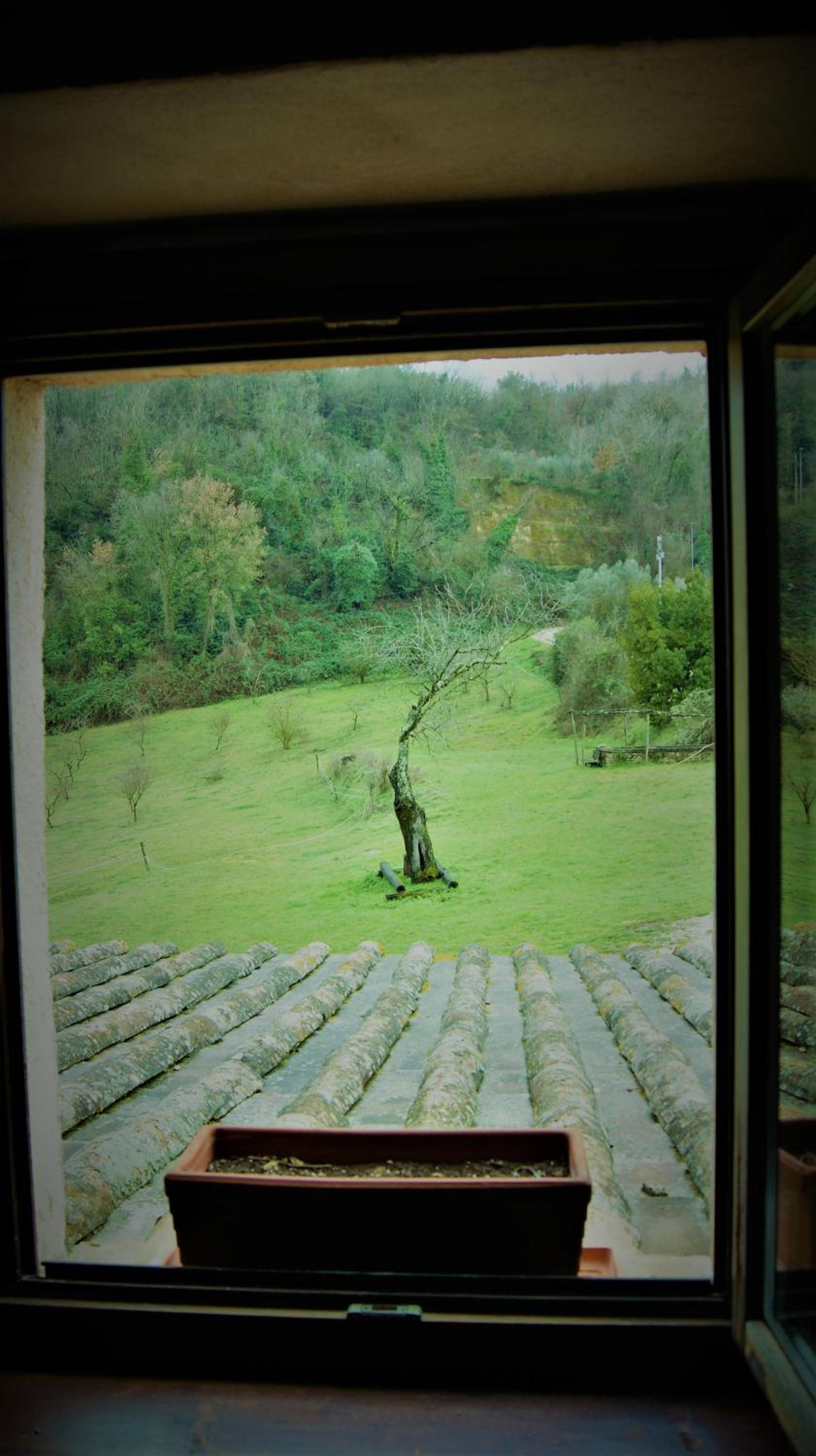 Agriturismo Monterone