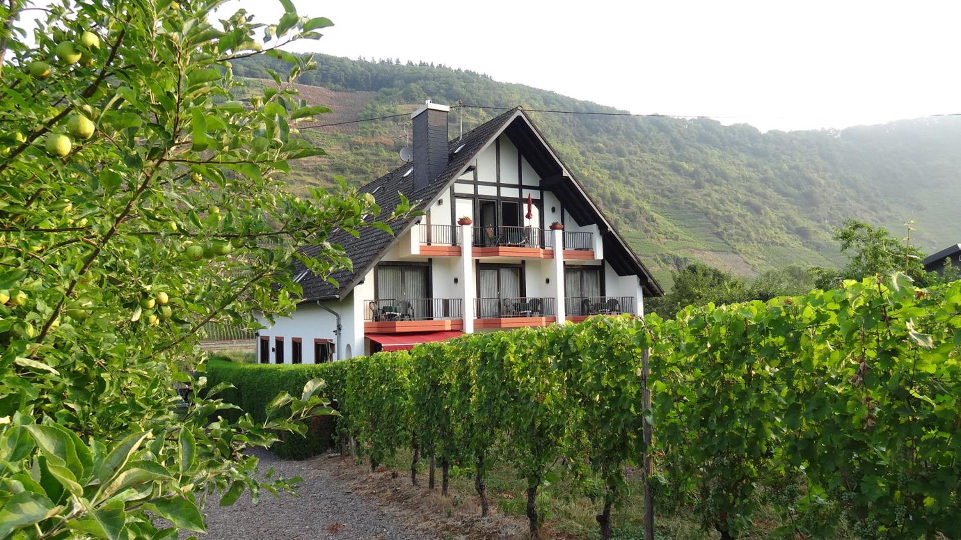 Haus Weingarten APPARTEMENTS-ZIMMER