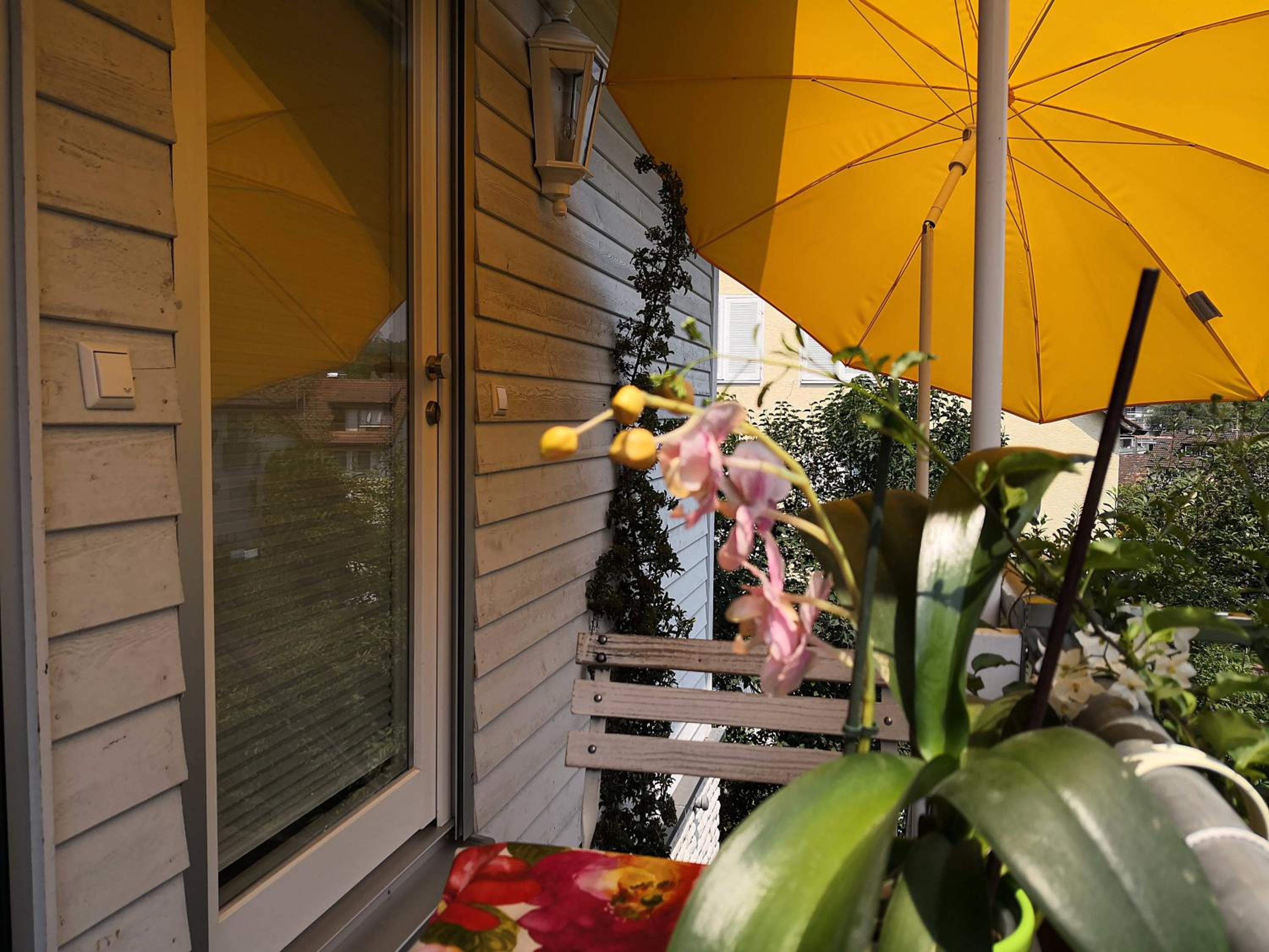 Haus Ulmer view 4