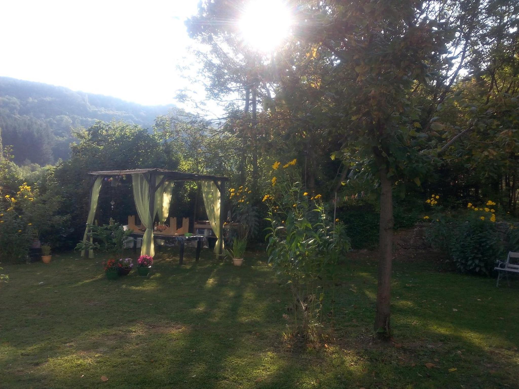 Photo 33