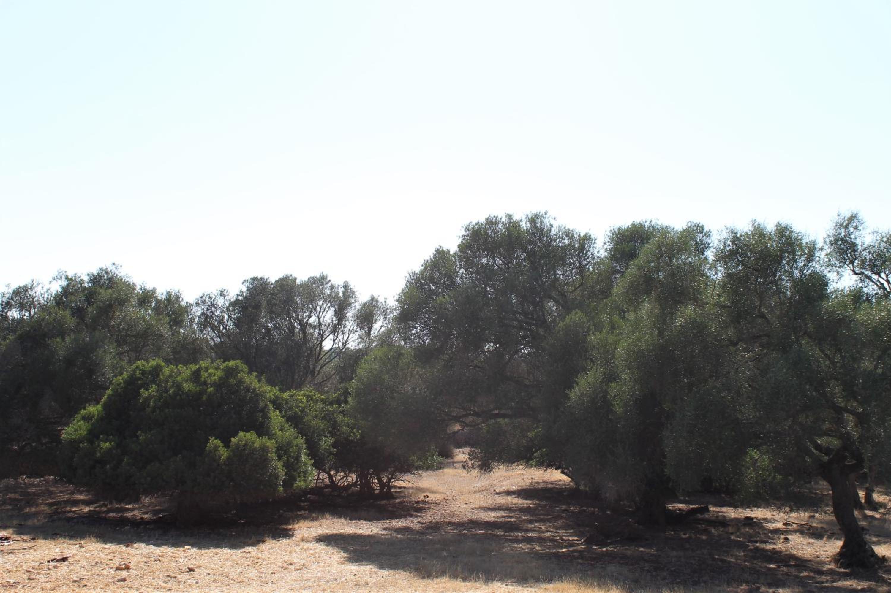 Photo 22