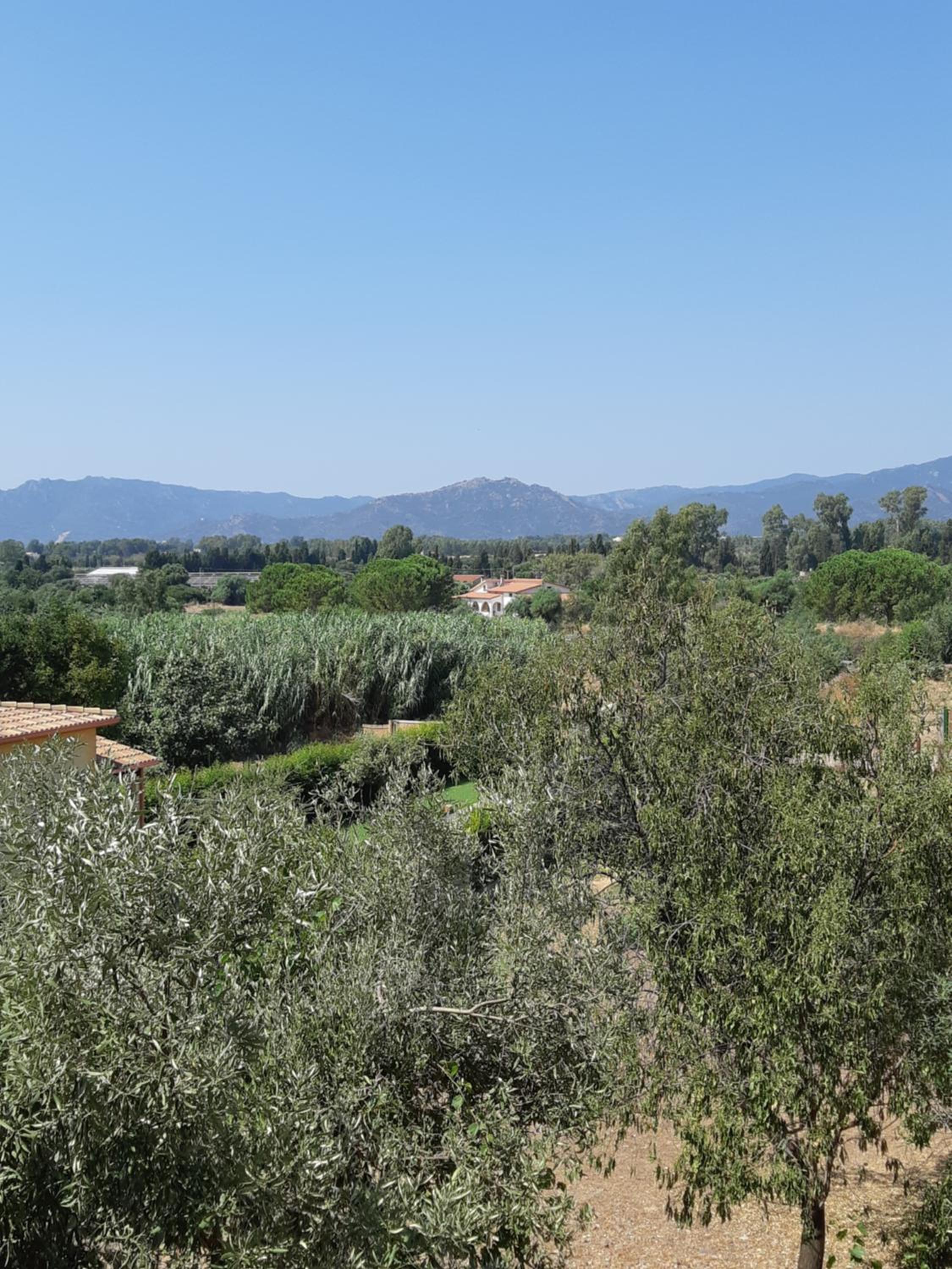 Sa Caladroxa photo 2