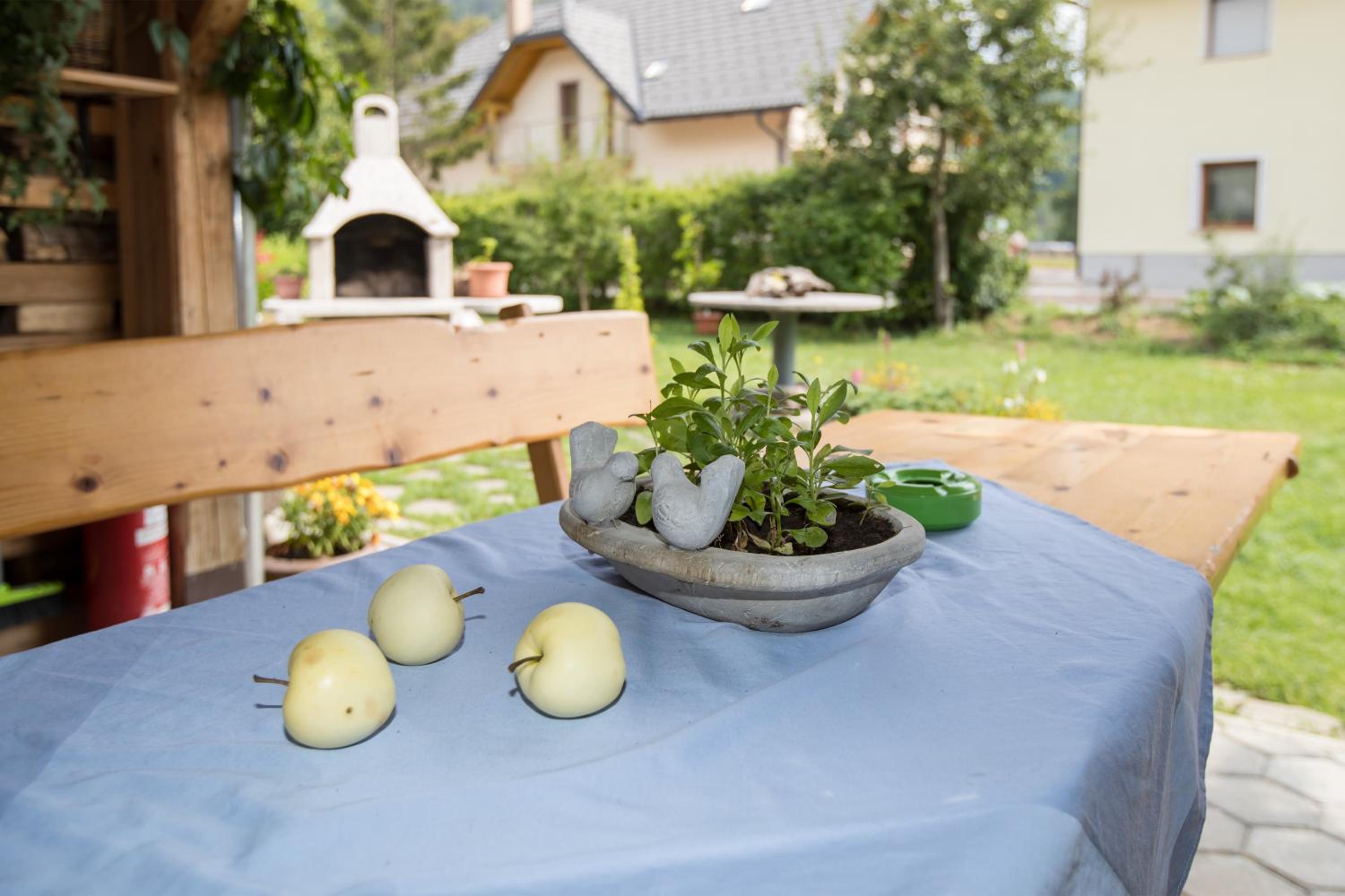 Apartma Tajč view 2