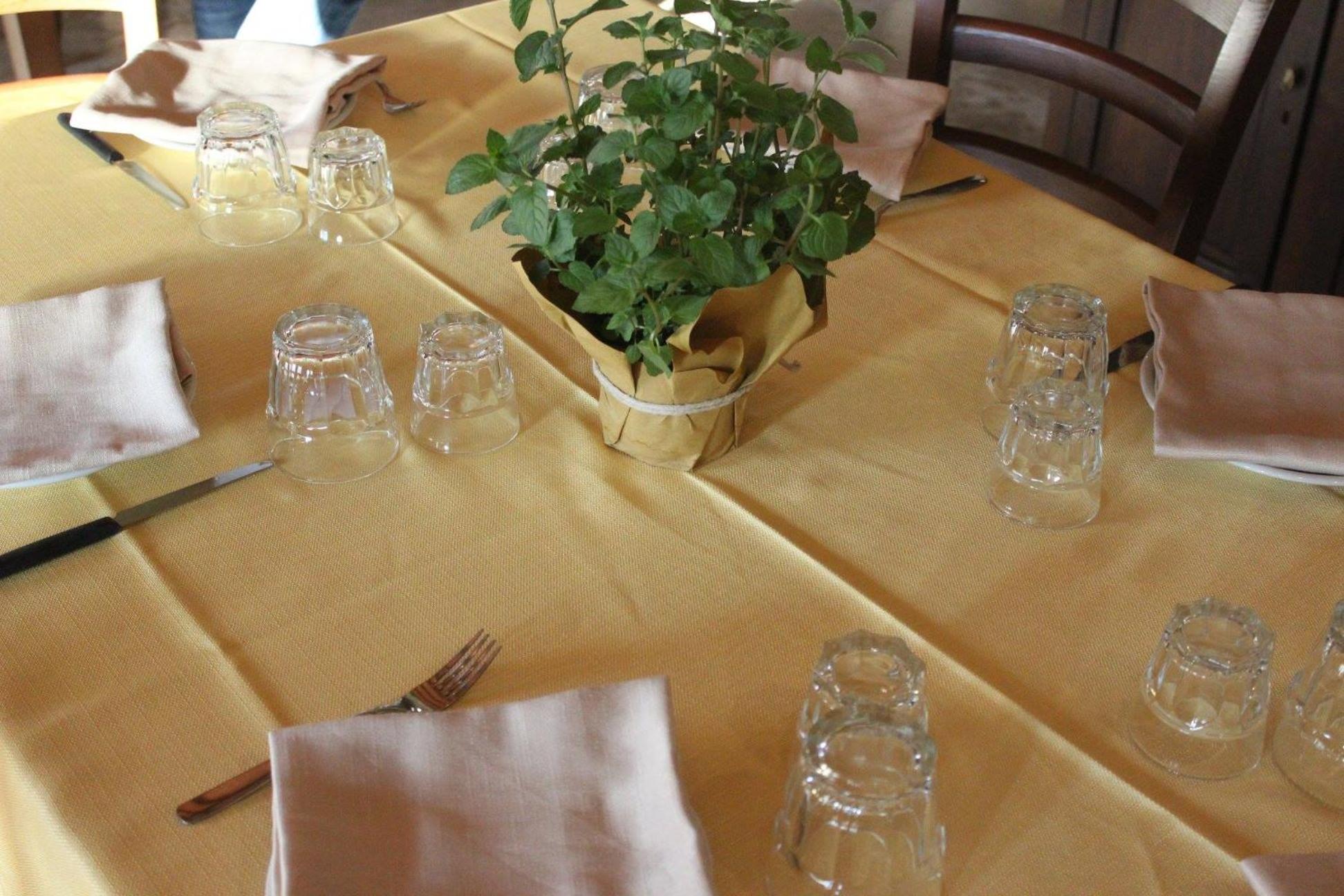 Tenuta Tedone Consolini