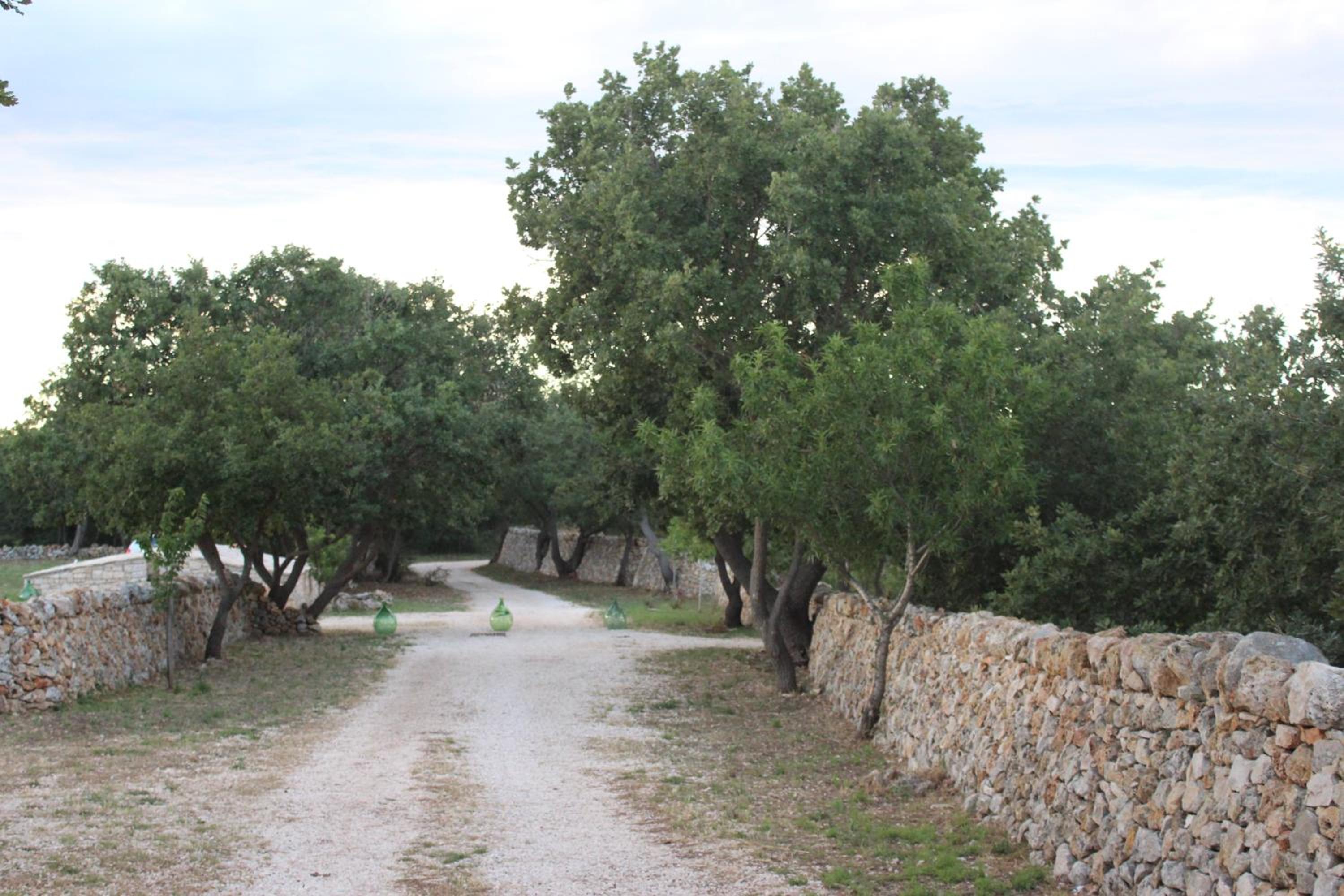 Tenuta Tedone Consolini