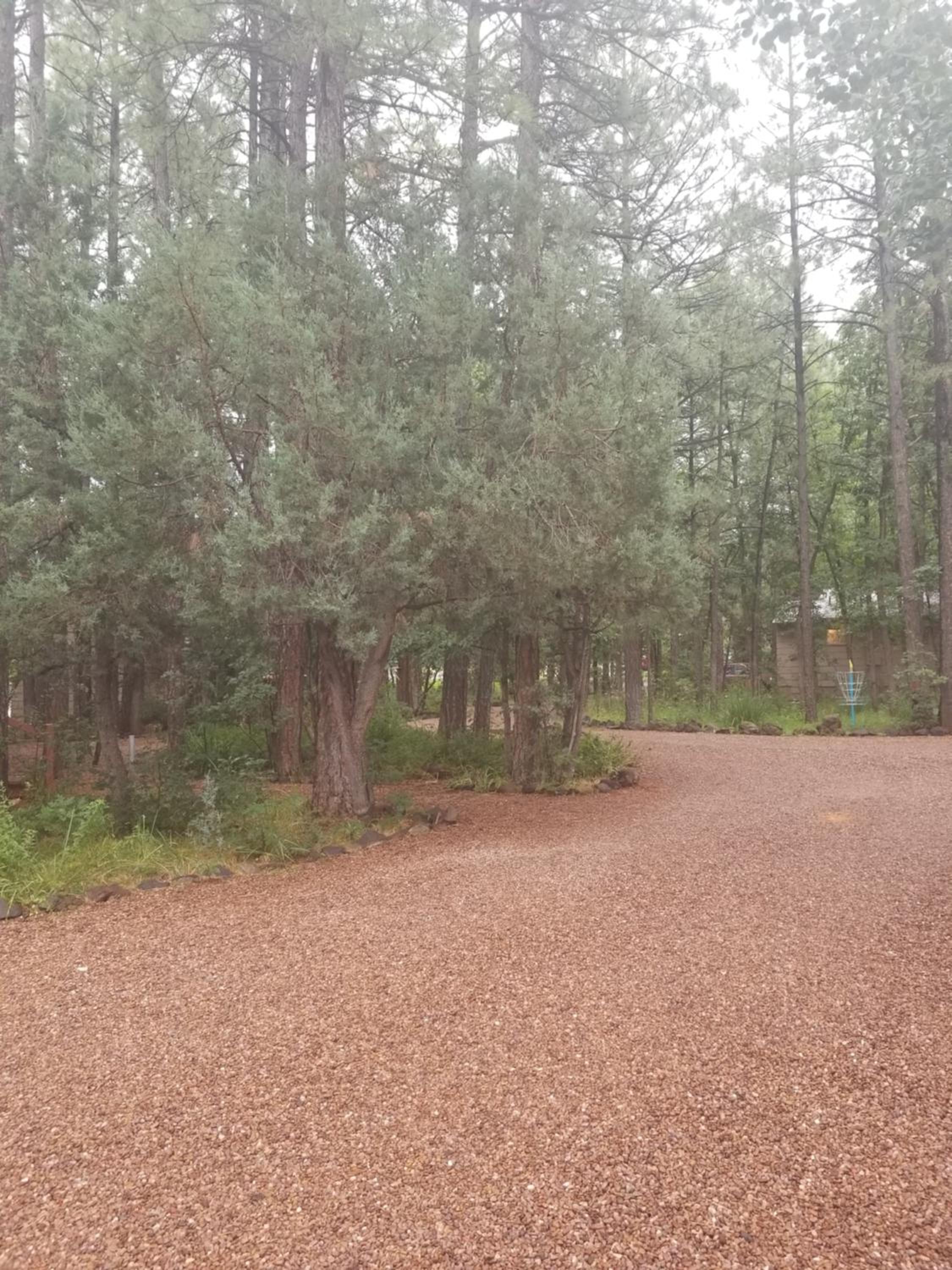 Northwoods Resort Cabins view 4