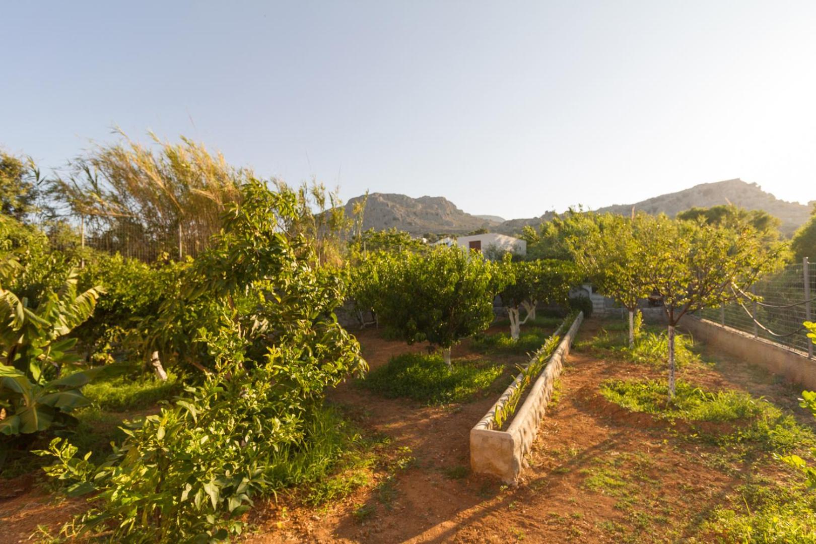 Villa Verde Stegna Beach view 2