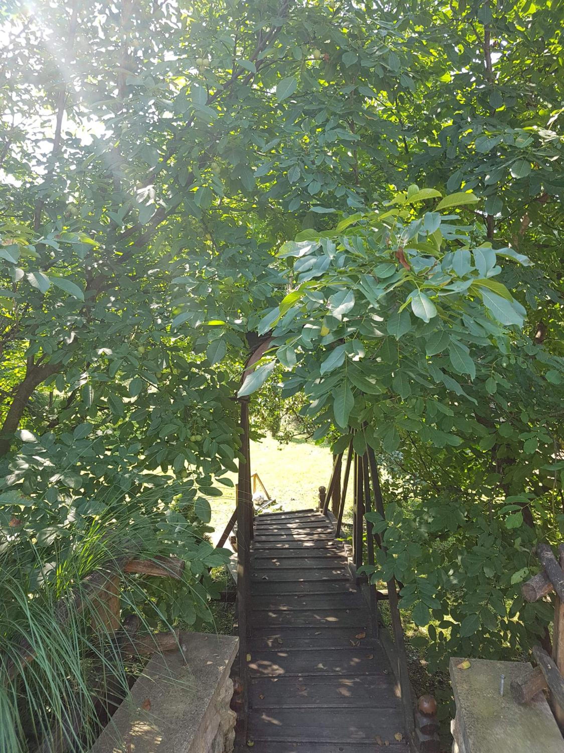 Hidden Paradise