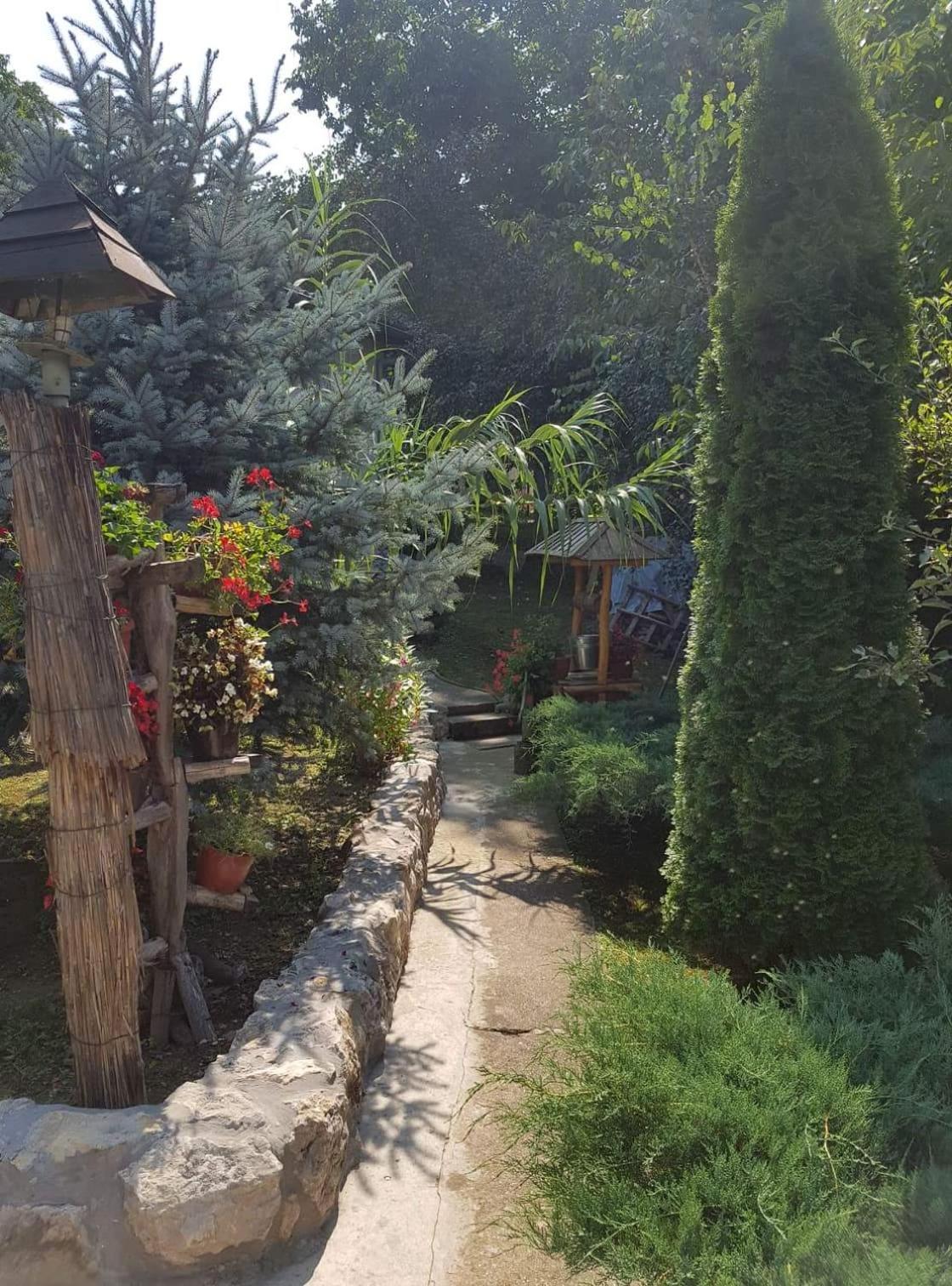 Hidden Paradise
