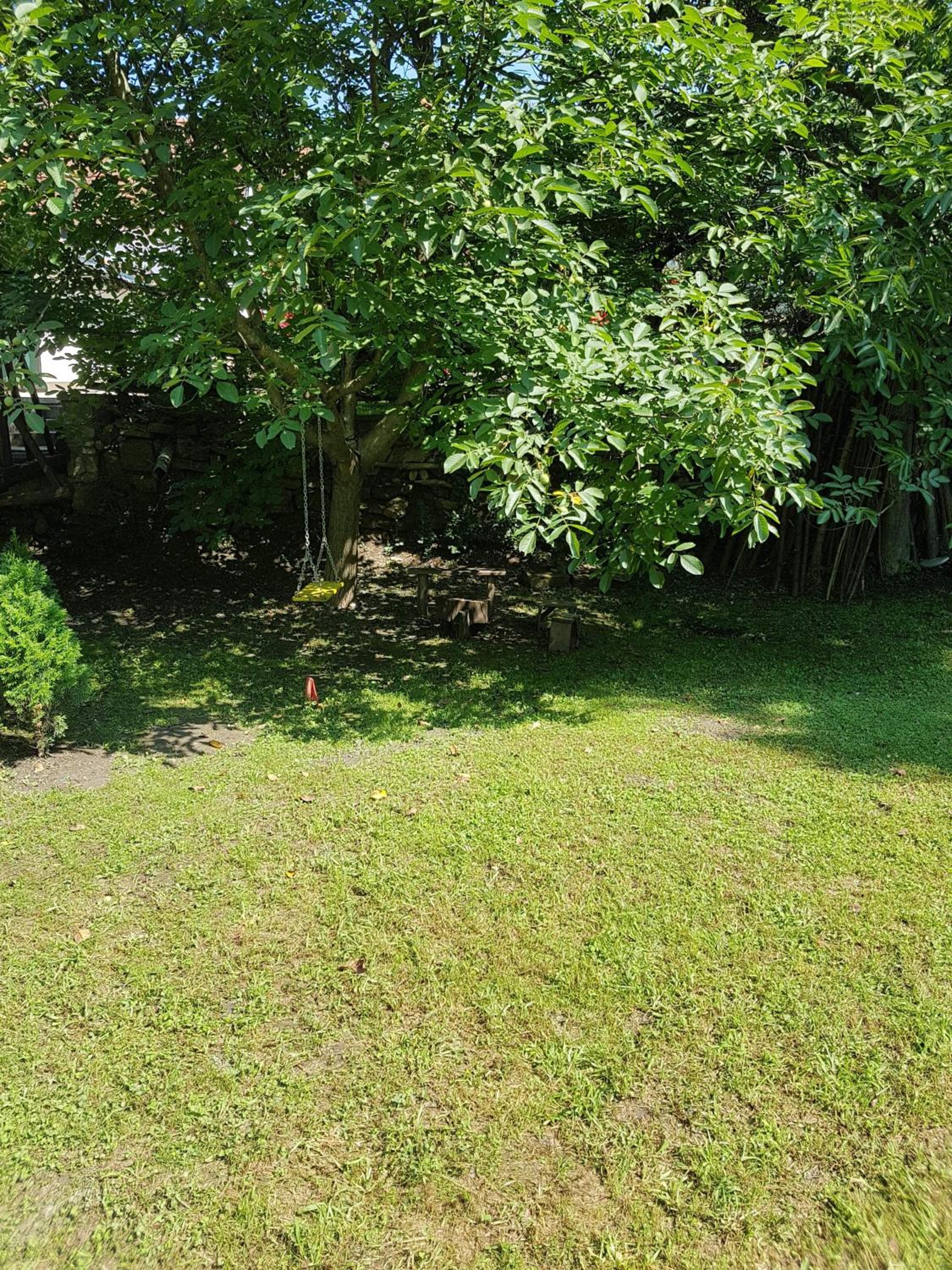 Photo 51