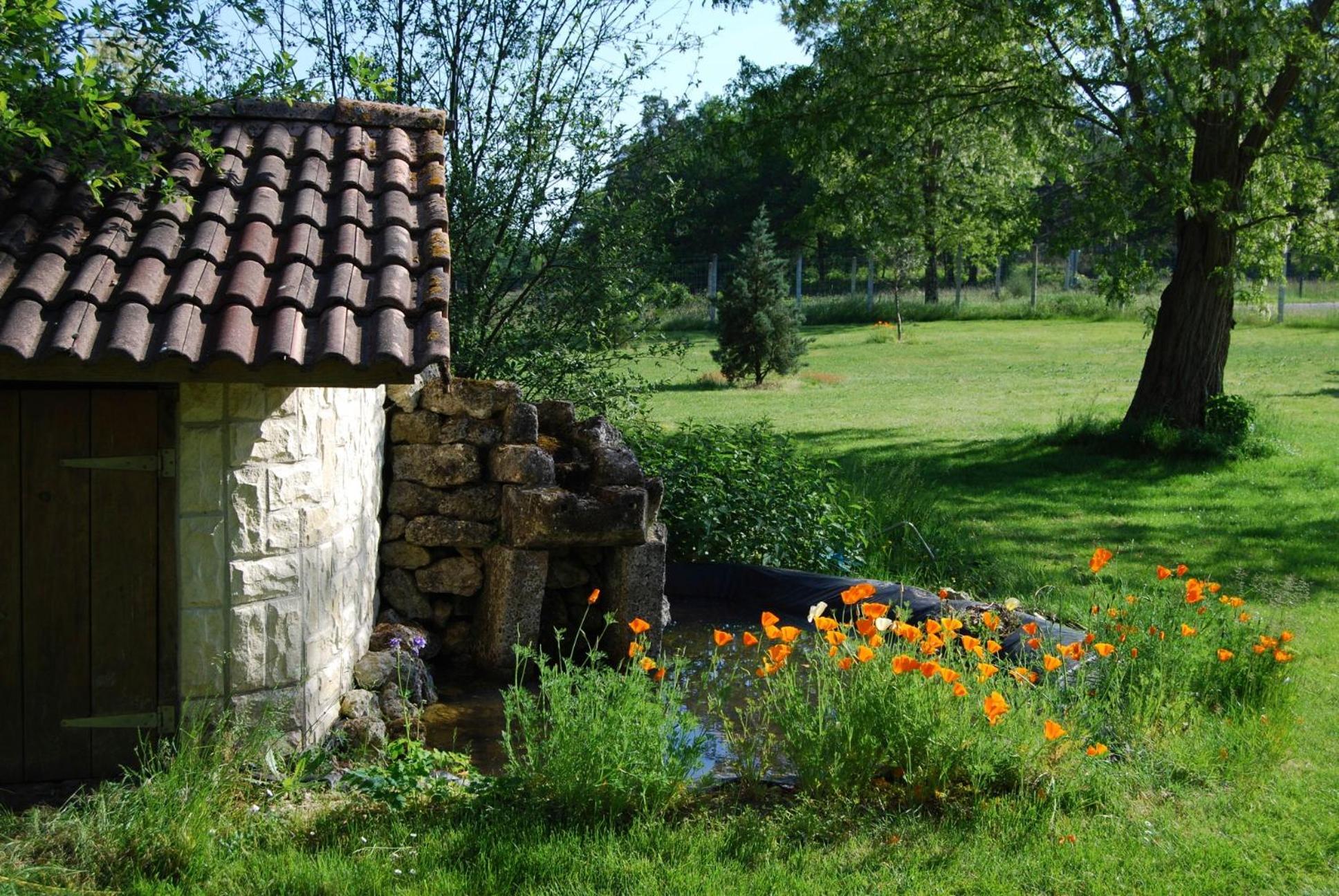Photo 33