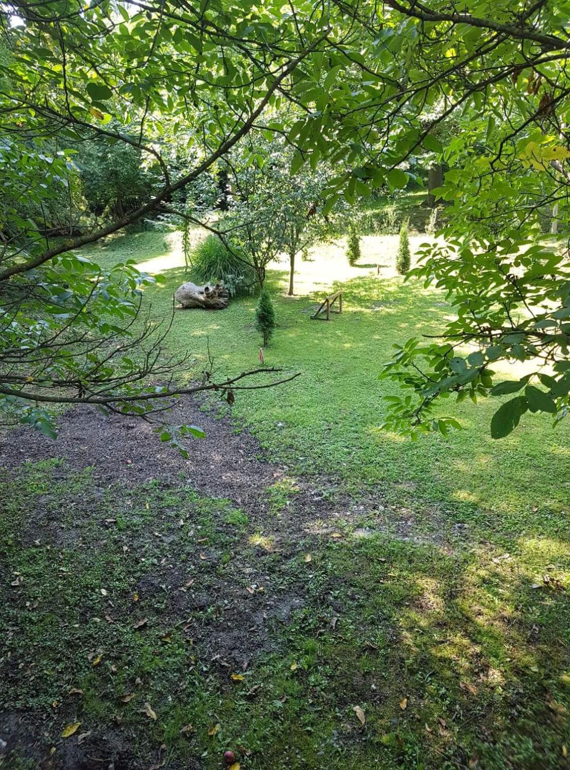 Photo 49