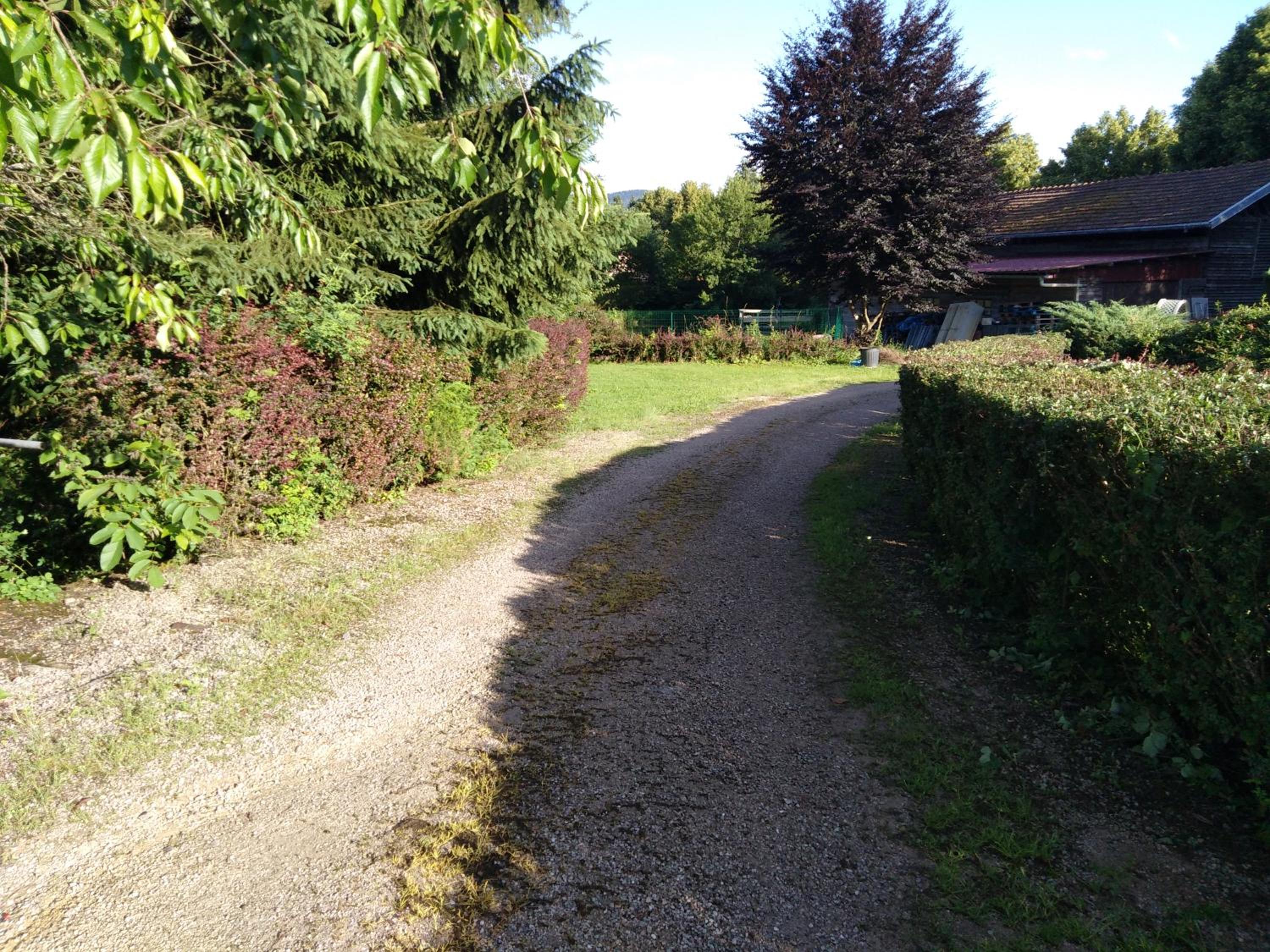 Photo 25