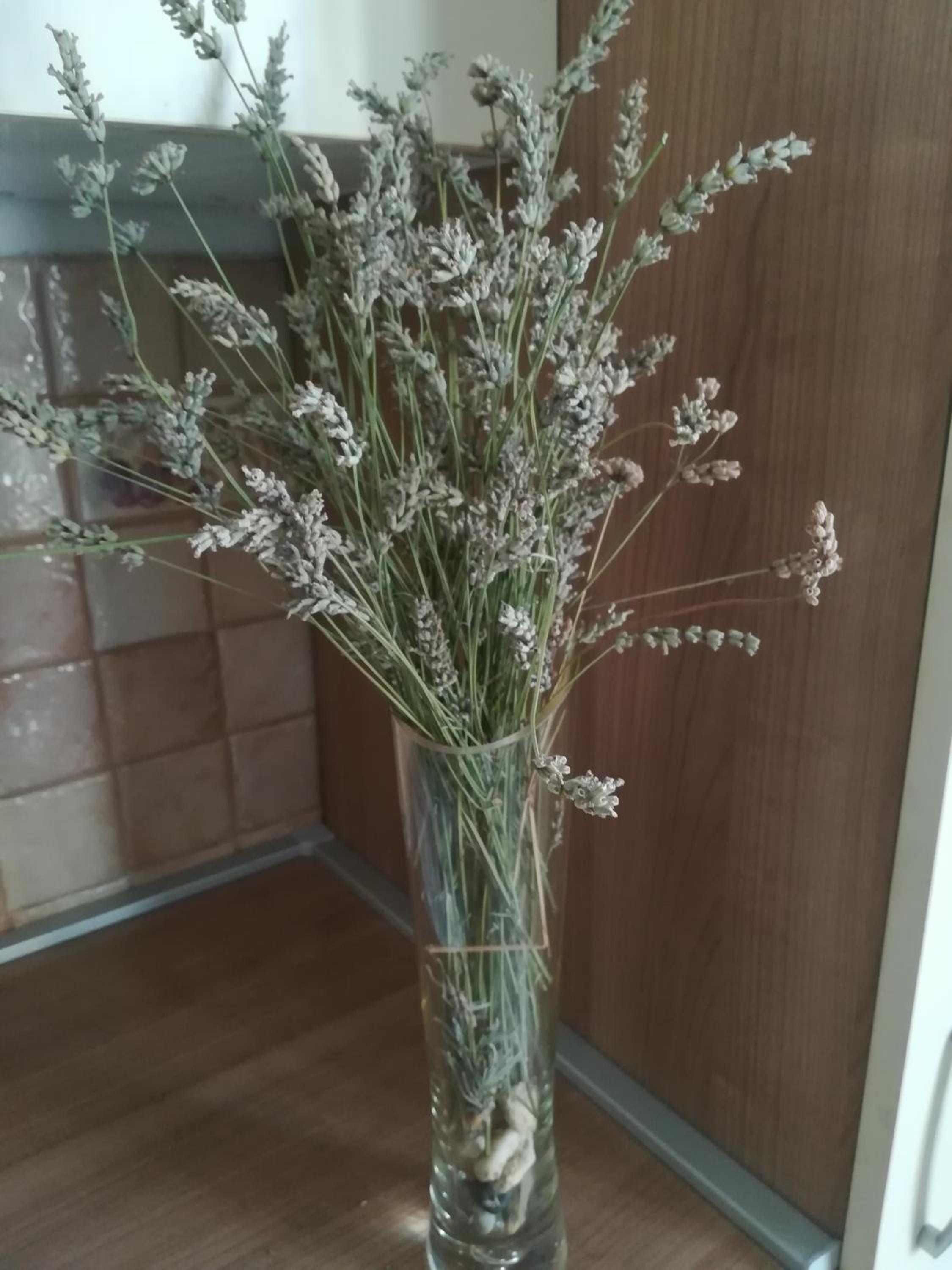 Apartman Nada view 5