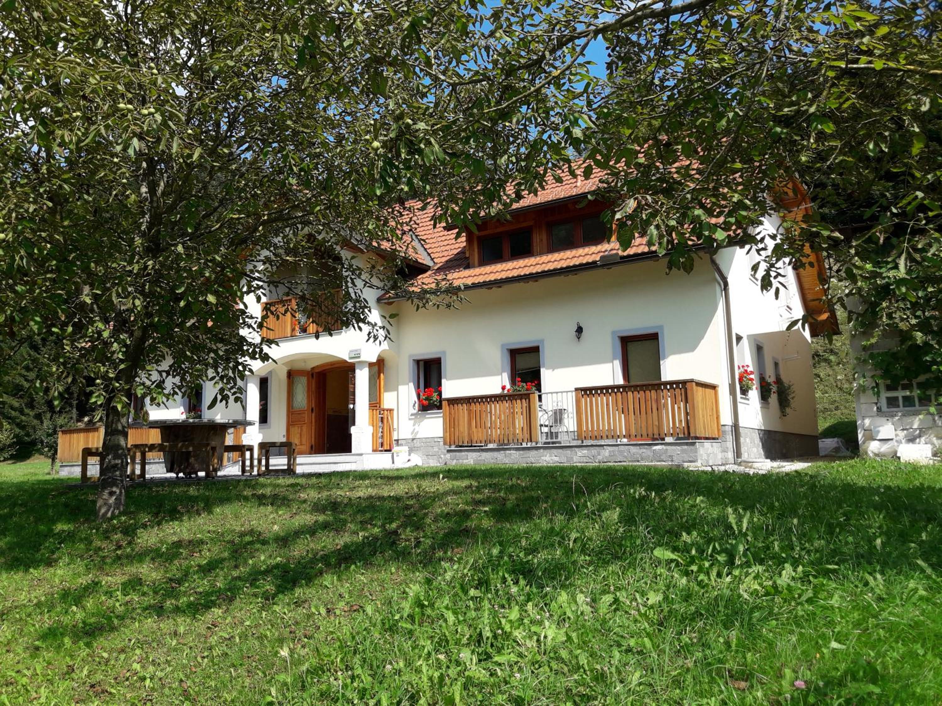 Photo 45