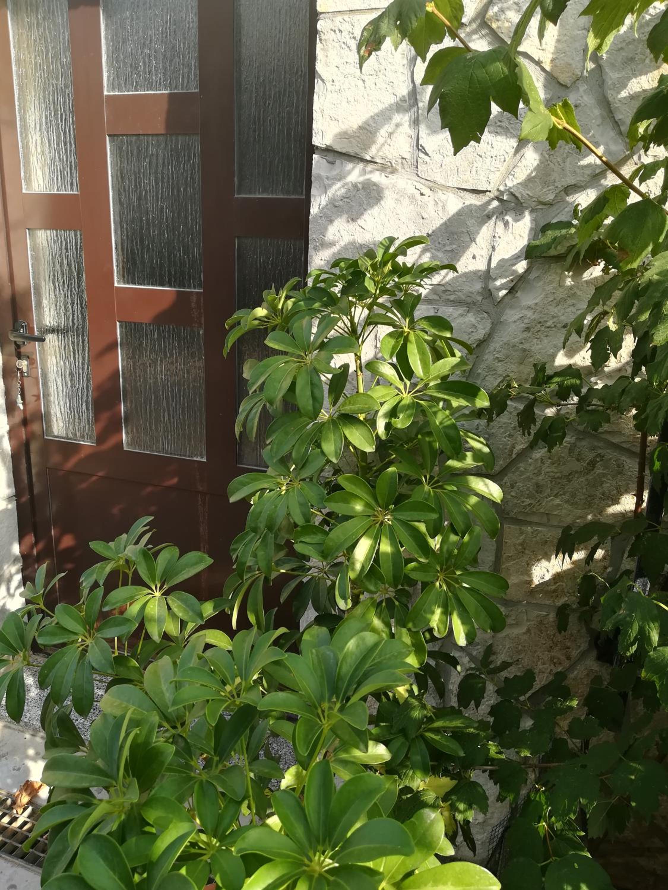 Apartman Nada view 3