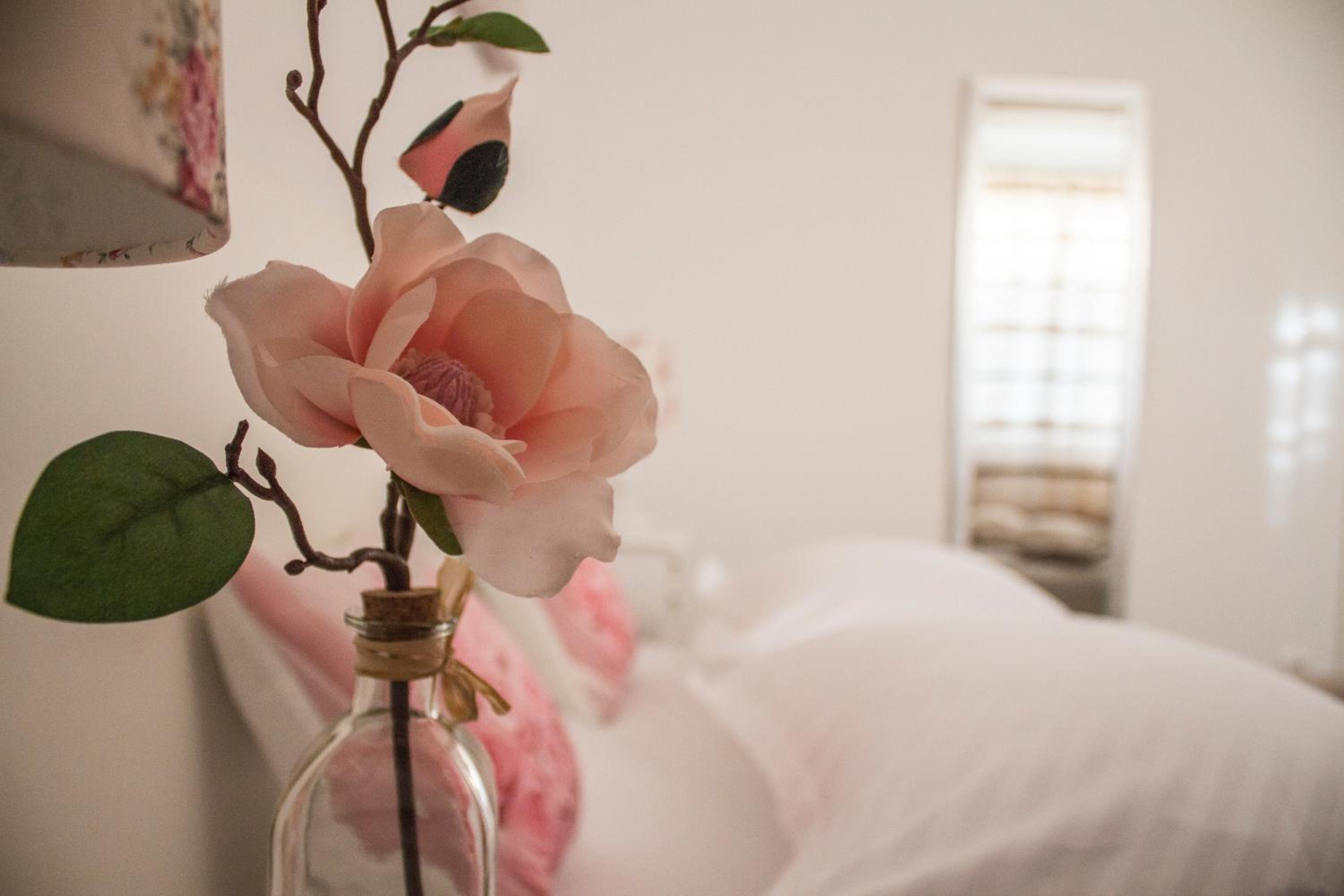 Apartman Dujmović view 5