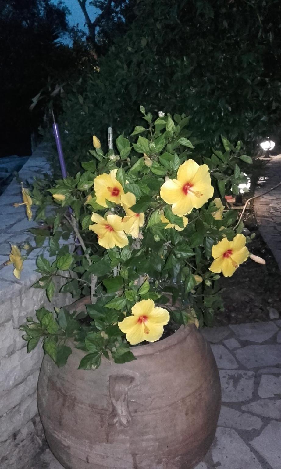 Photo 33