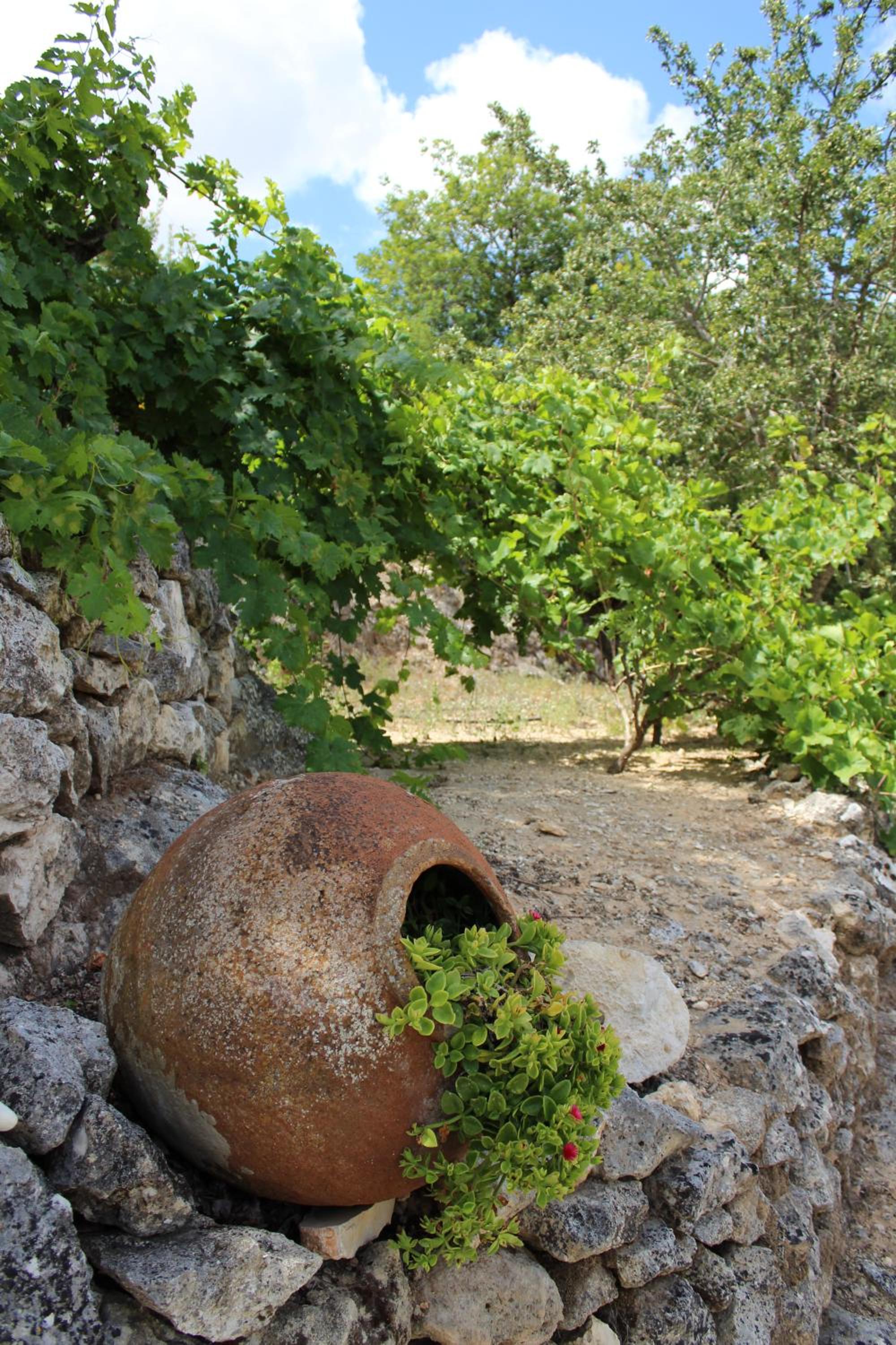 Photo 21