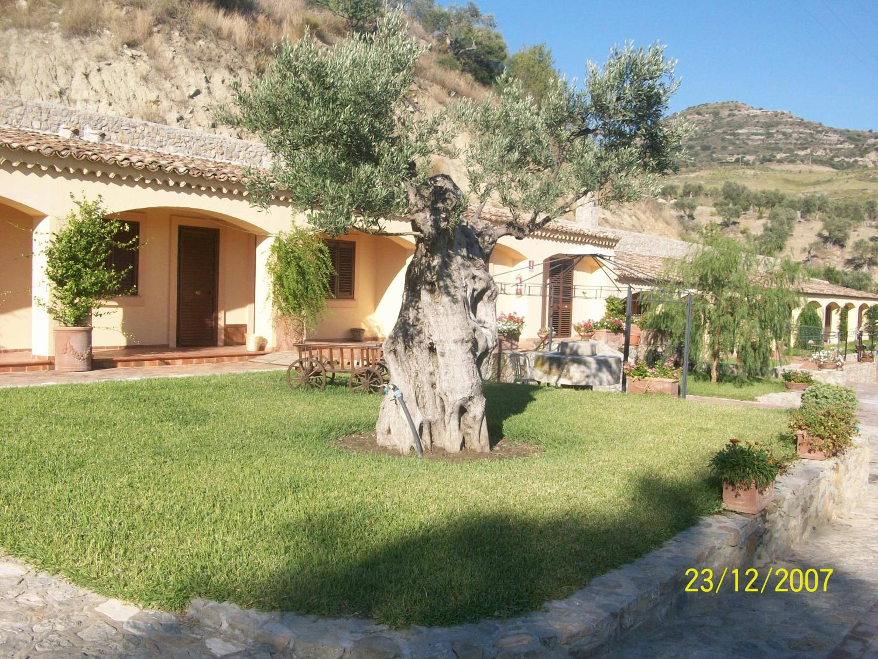 Photo 25