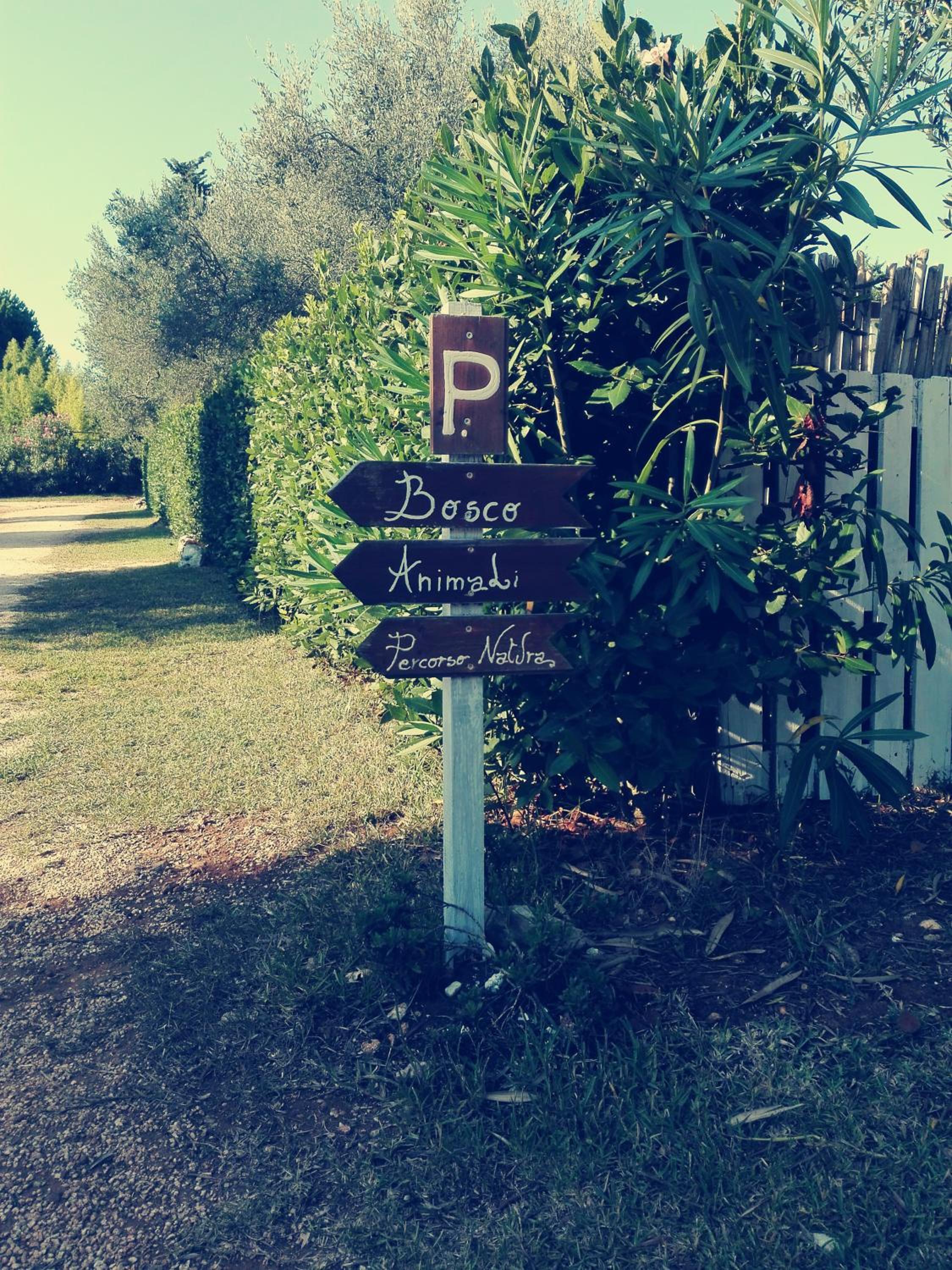 Agriturismo Massaro Pietro