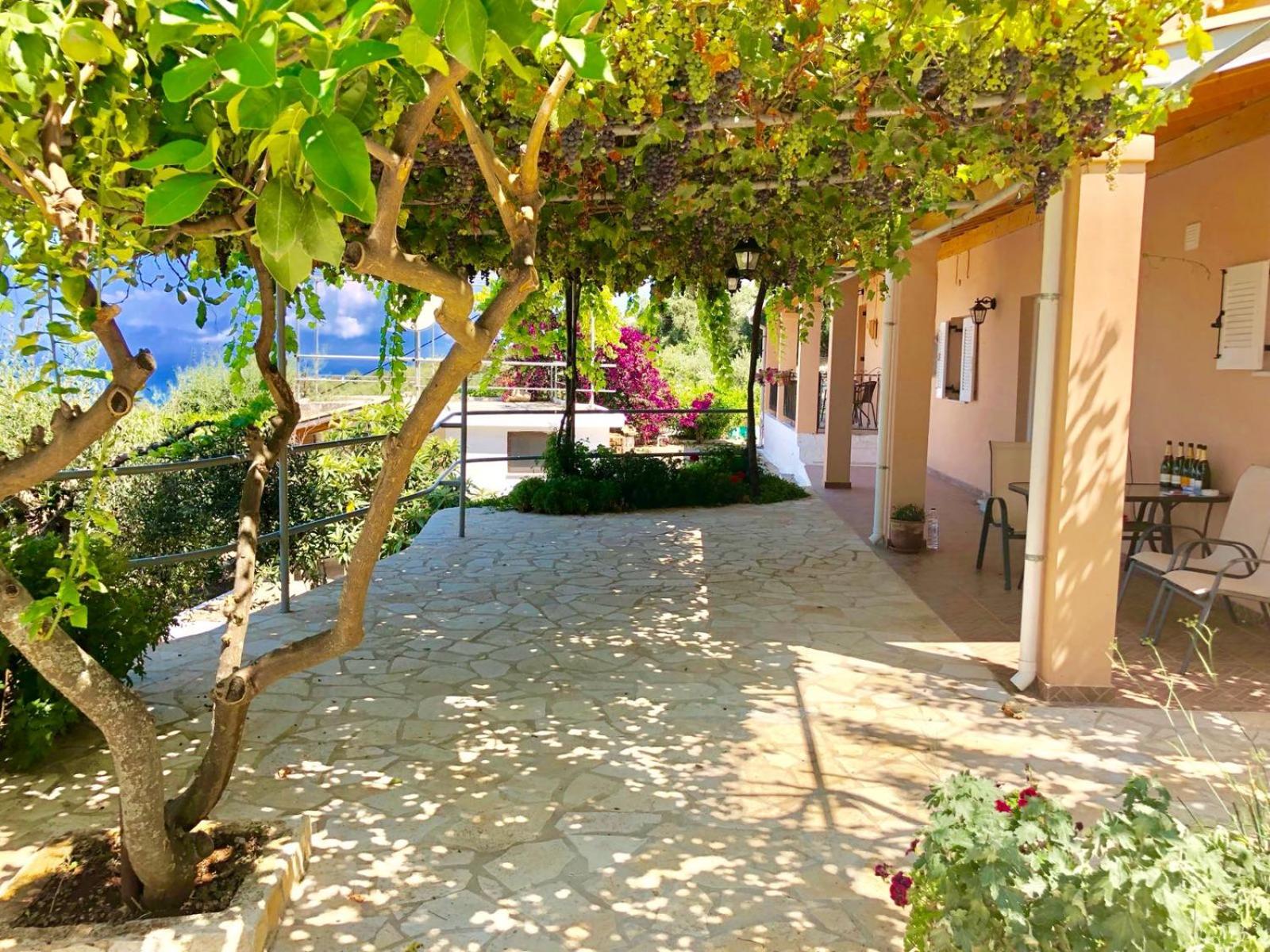 Villa Corfou photo 3