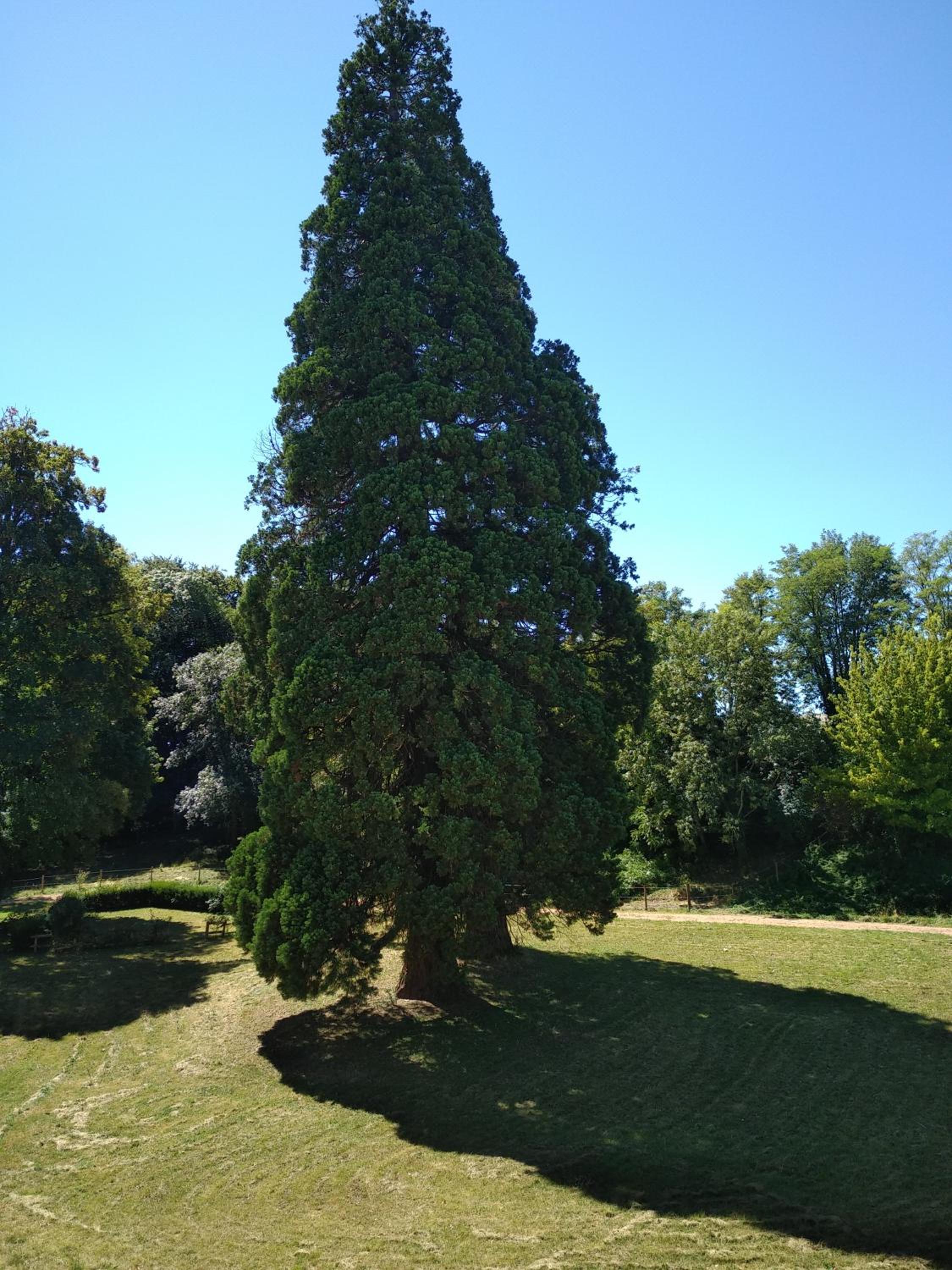 Photo 49
